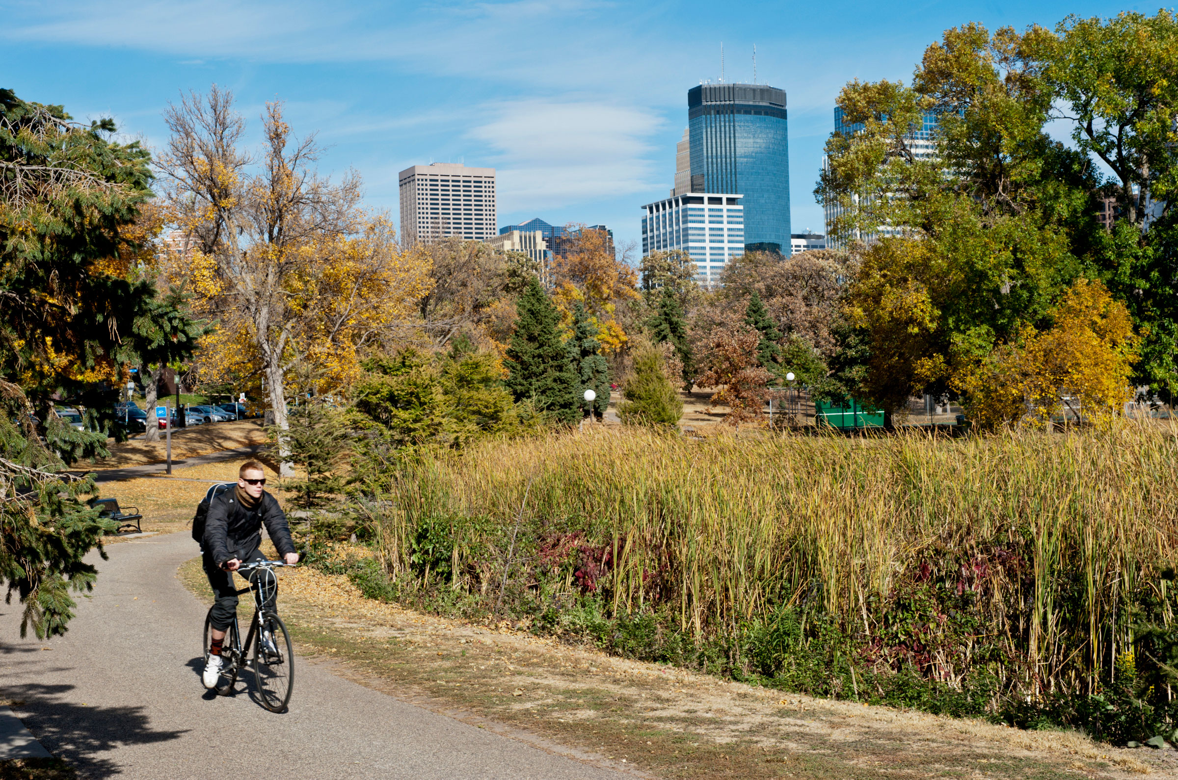 Bicyclist riding through Loring Park with Minneapolis skyline in background