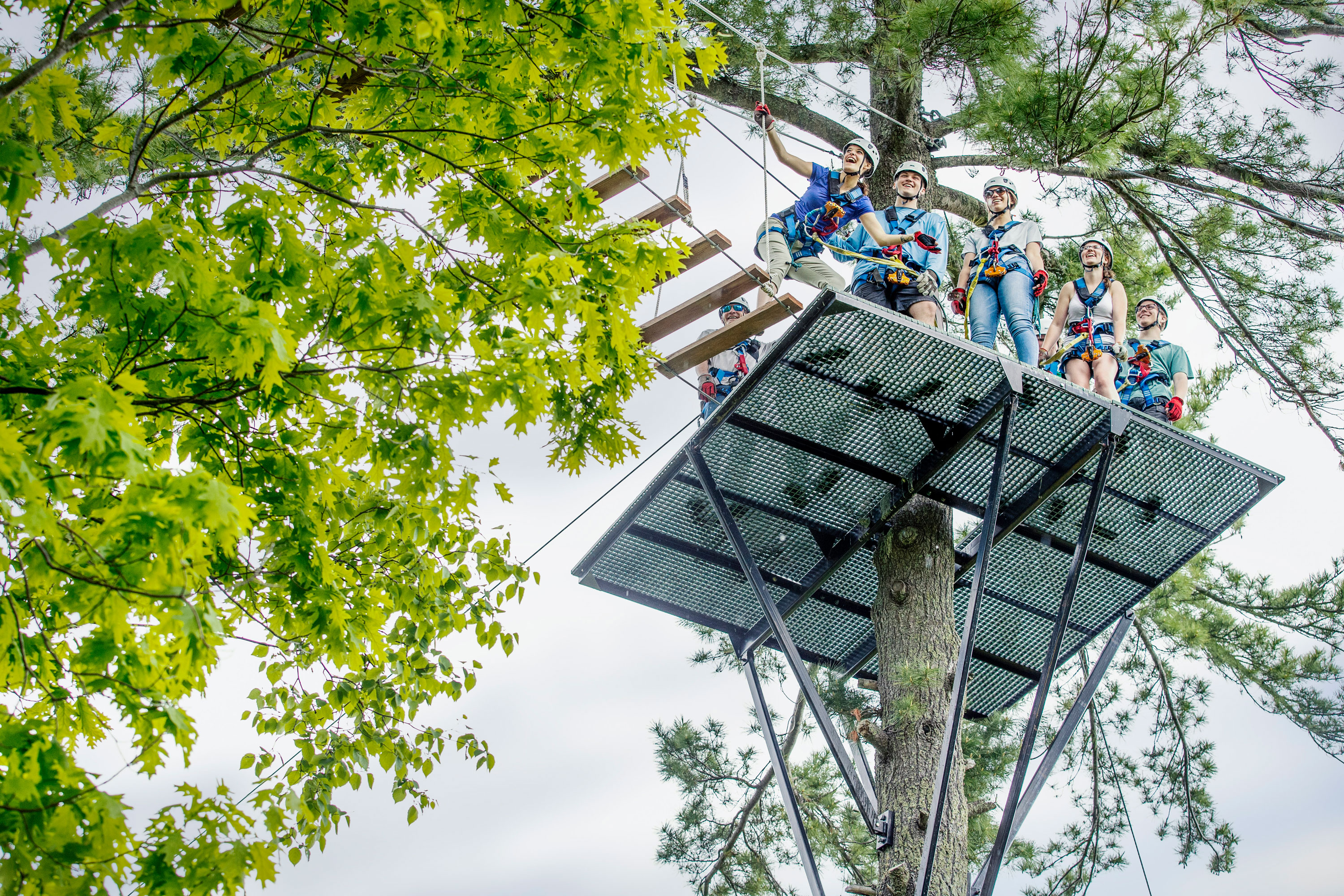 Group on zip line platform