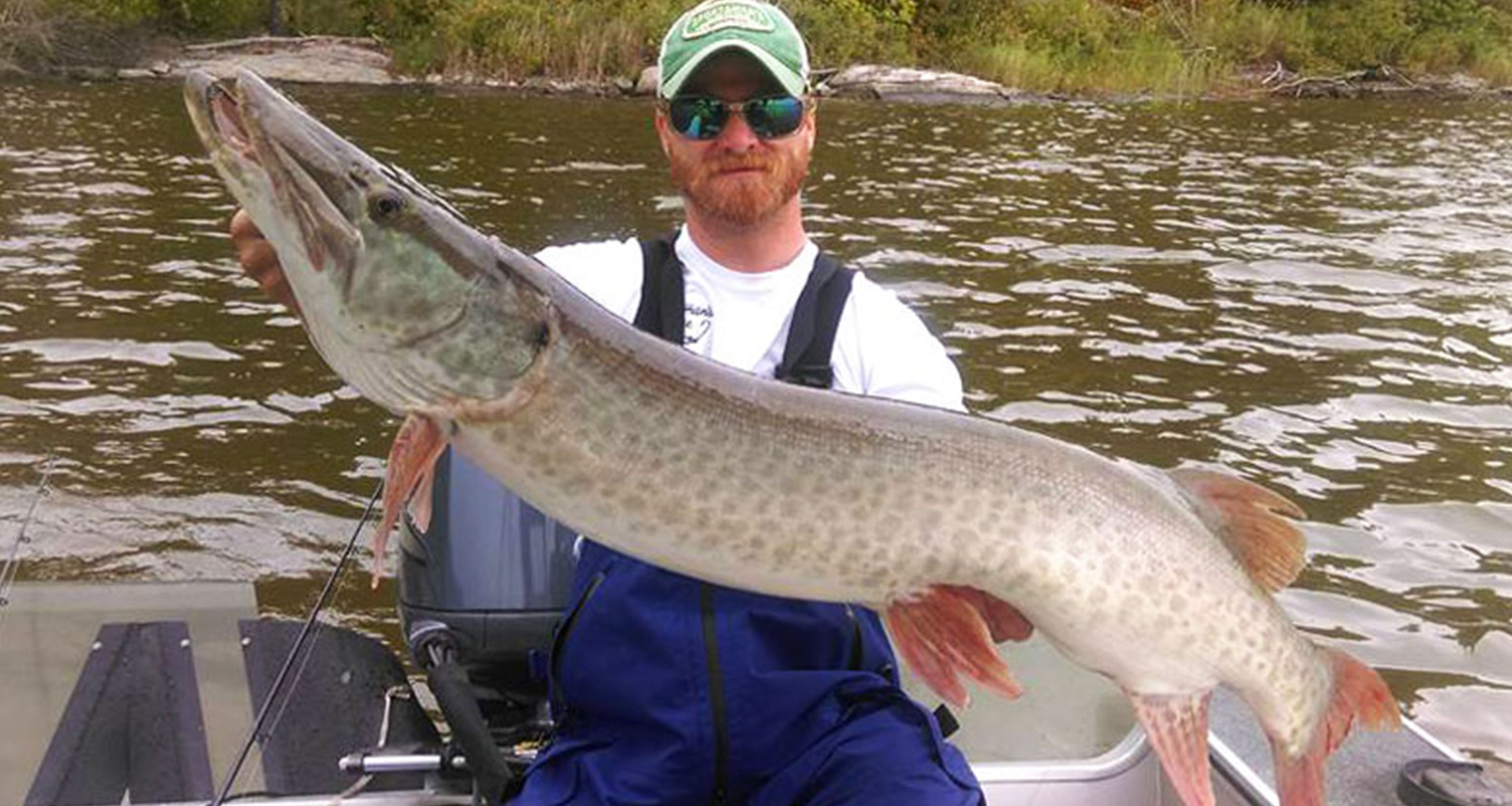 Lake of the Woods Muskie fishing