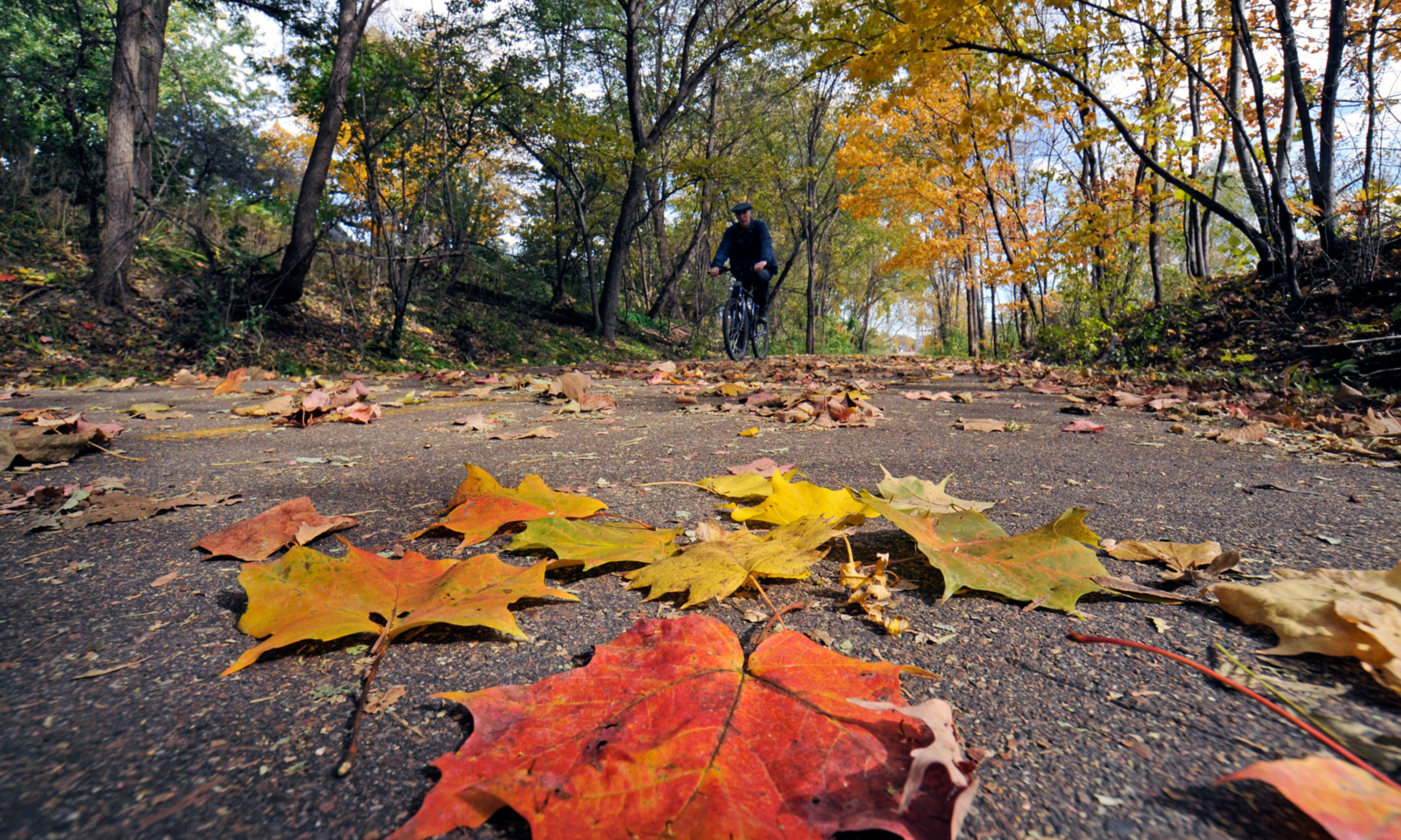 Man biking Dakota Trail