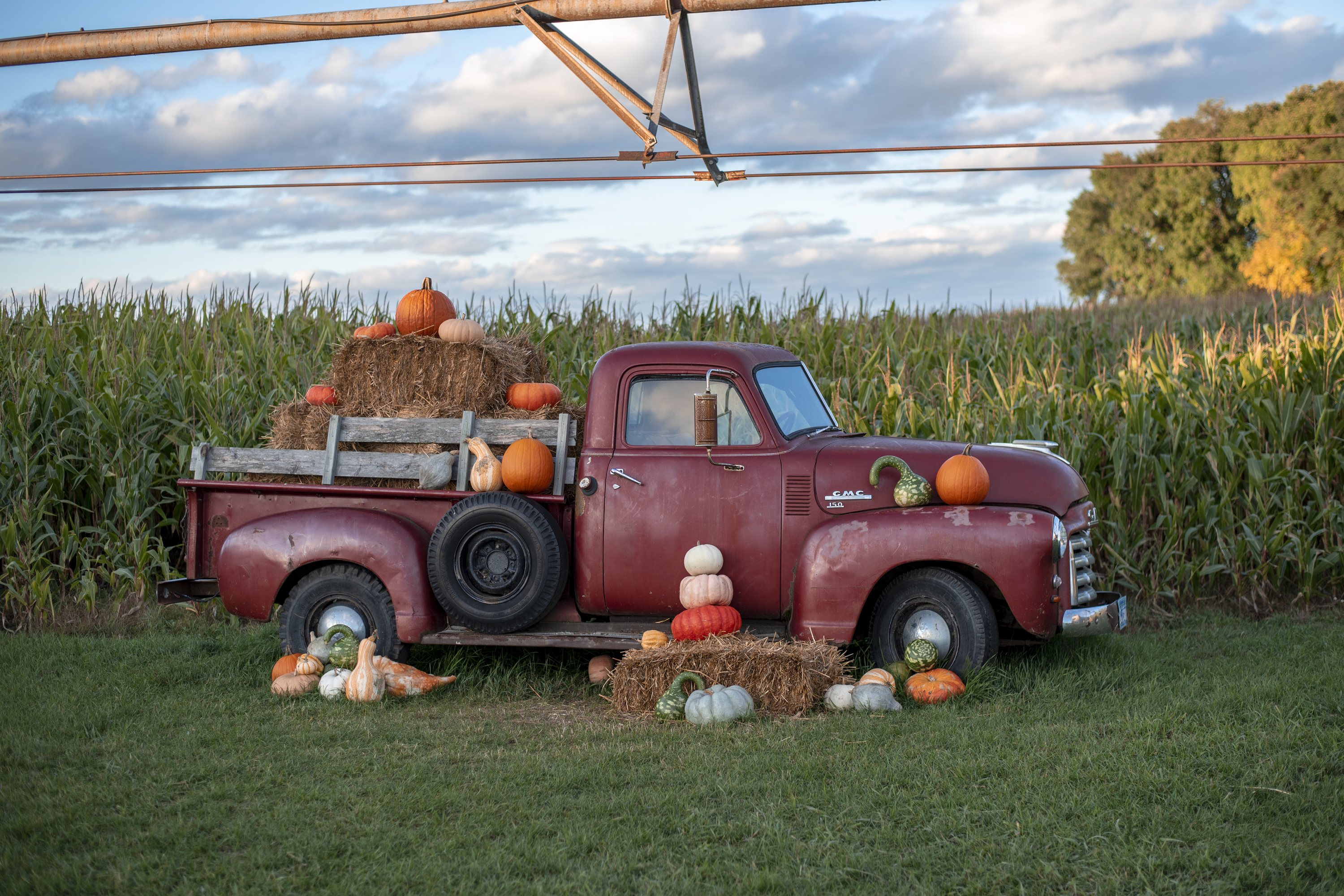Exhibición de calabazas en camión antiguo