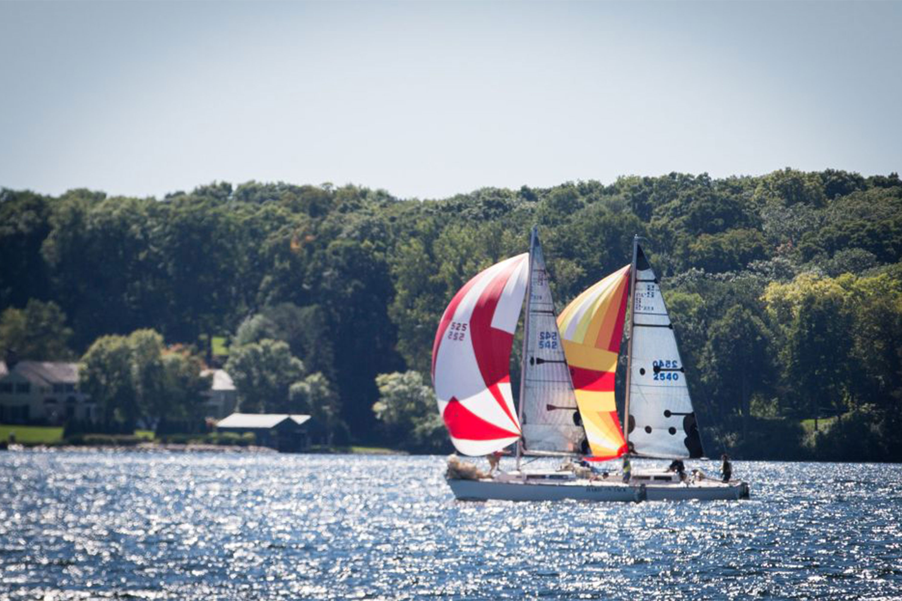 Wayzata sailboats