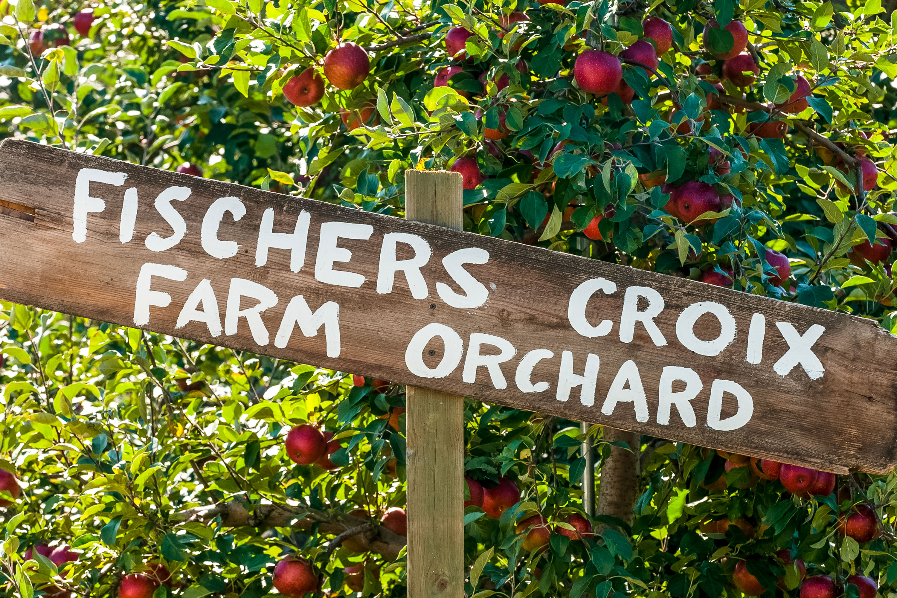 Finca de Manzanas Fishers Croix