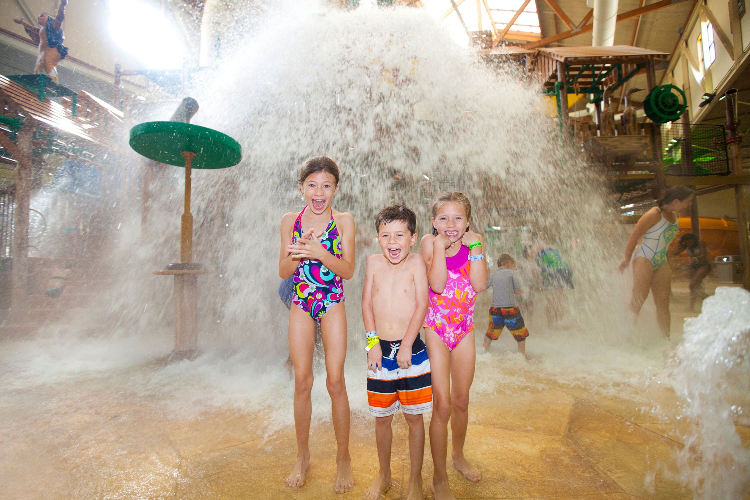 Parque acuático Great Wolf Lodge Bloomington