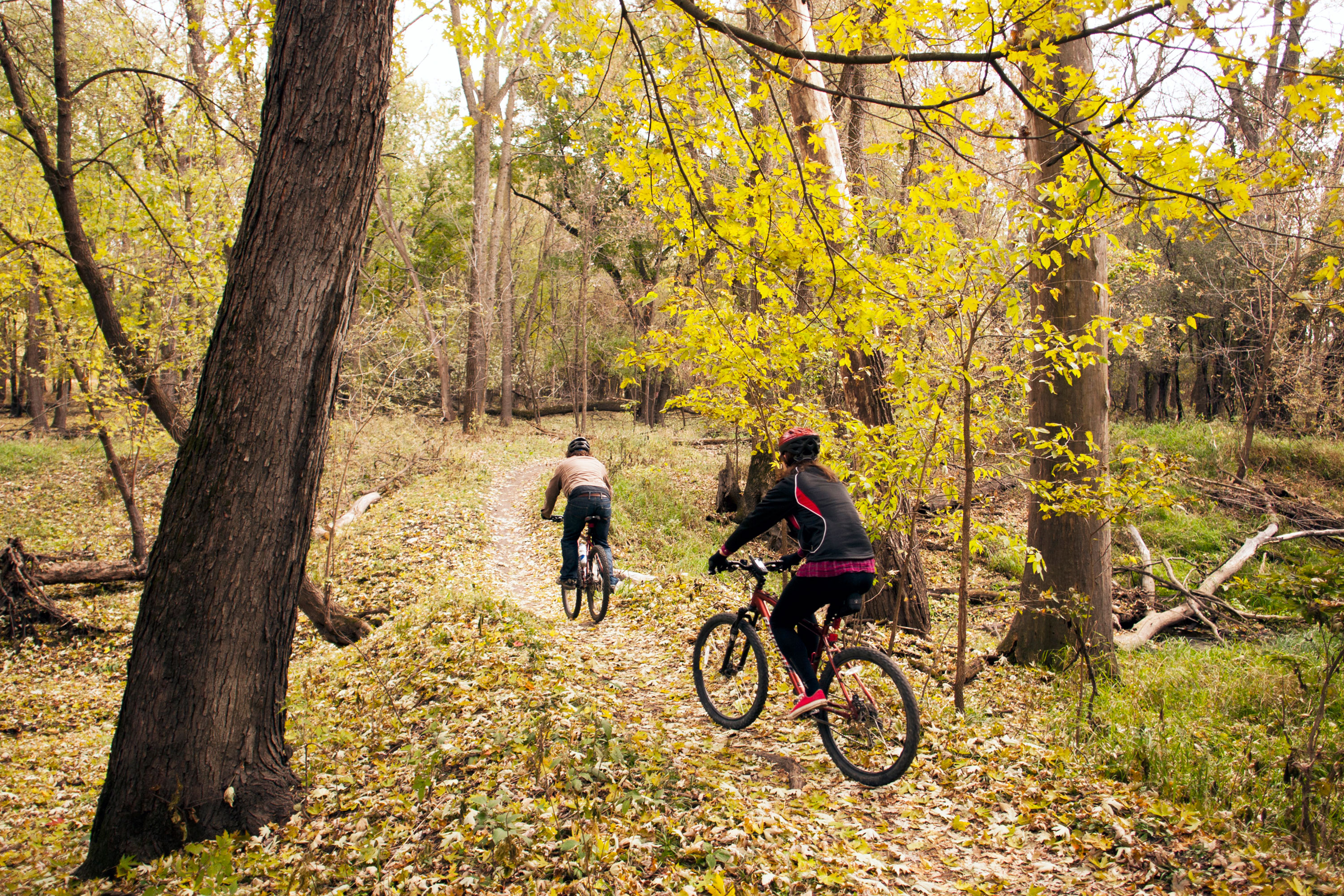 electric trails