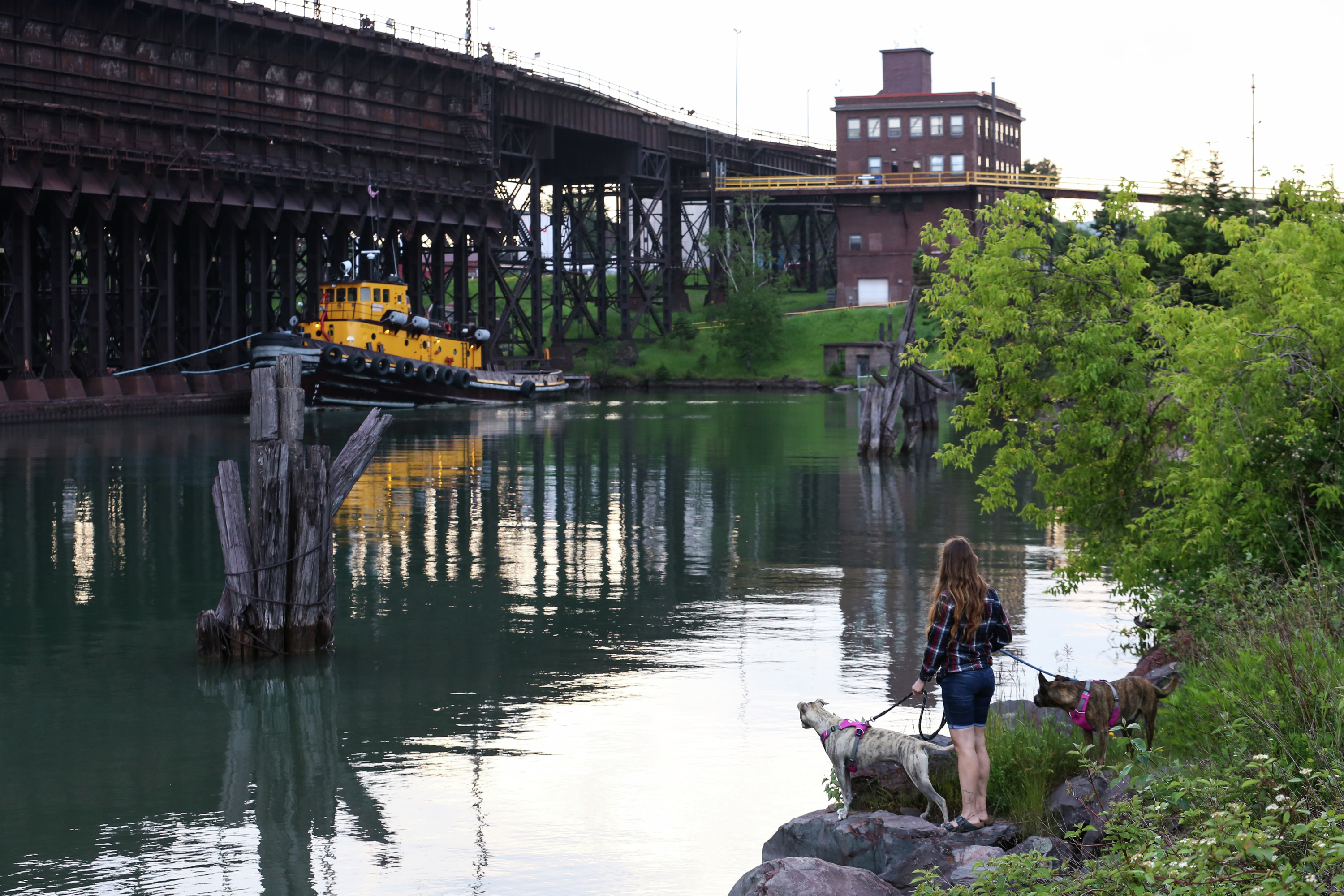Woman with dogs in Two Harbors