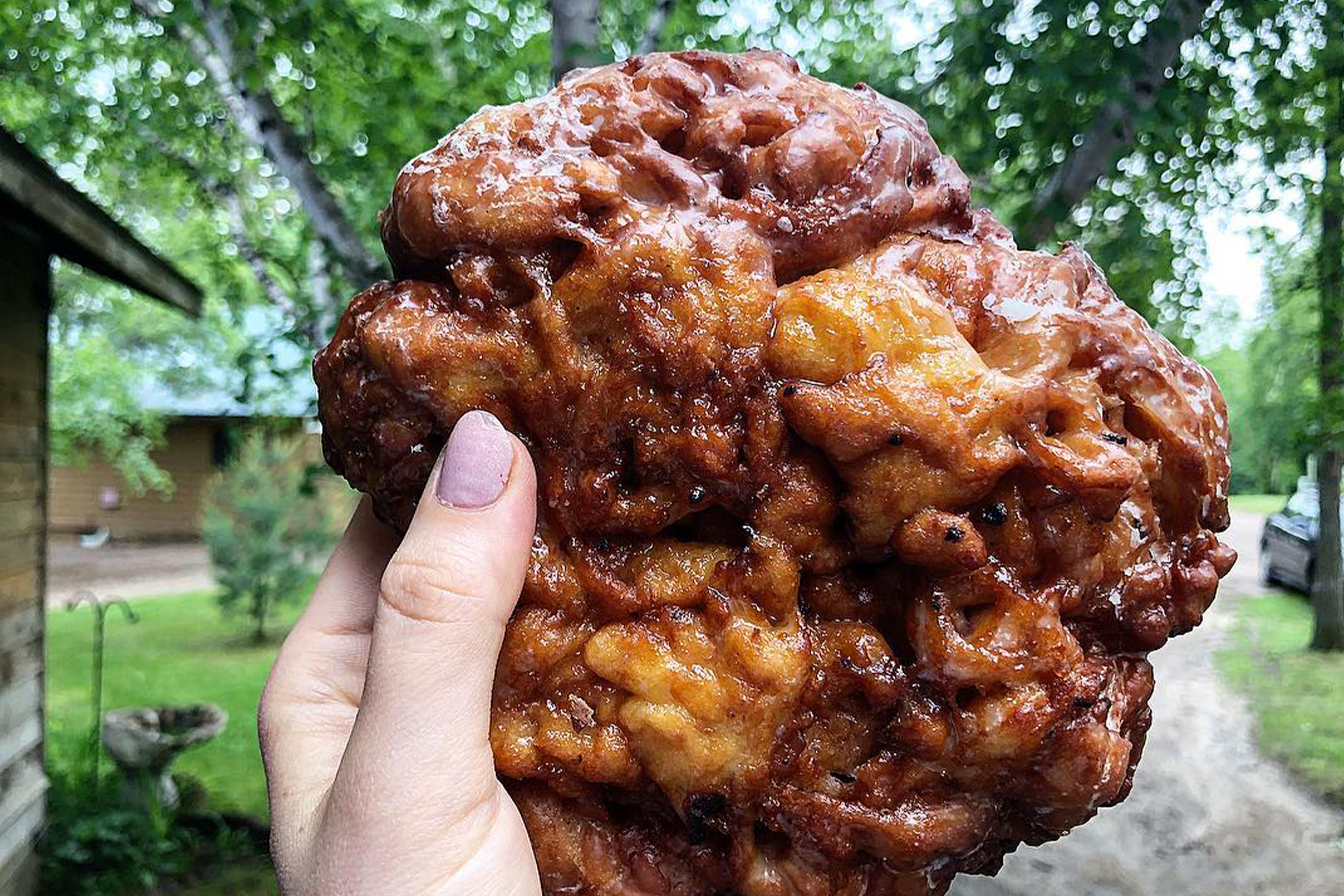 Nelson Brother's Bakery wild blueberry fritter