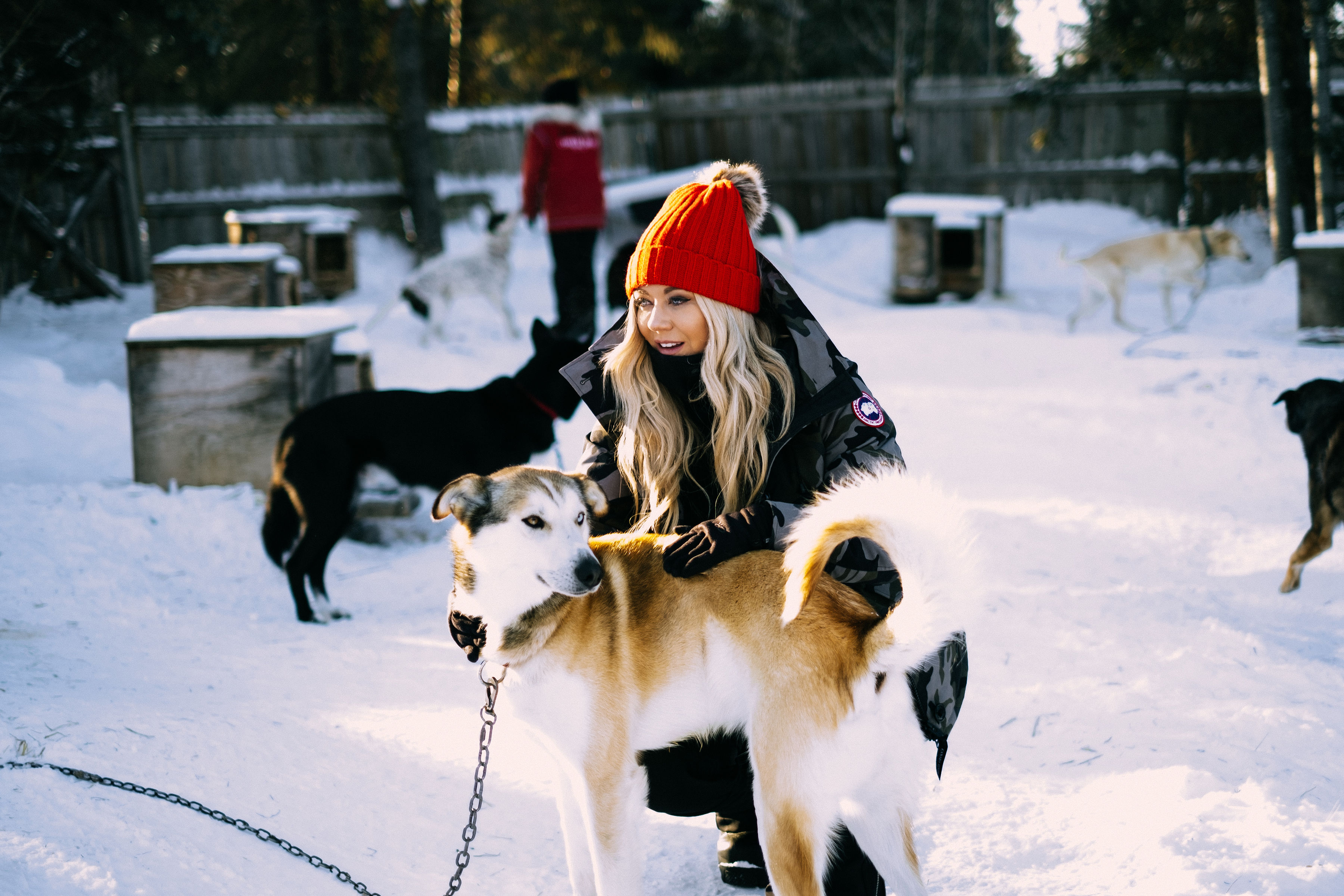 Carly Aplin with sled dog in Ely