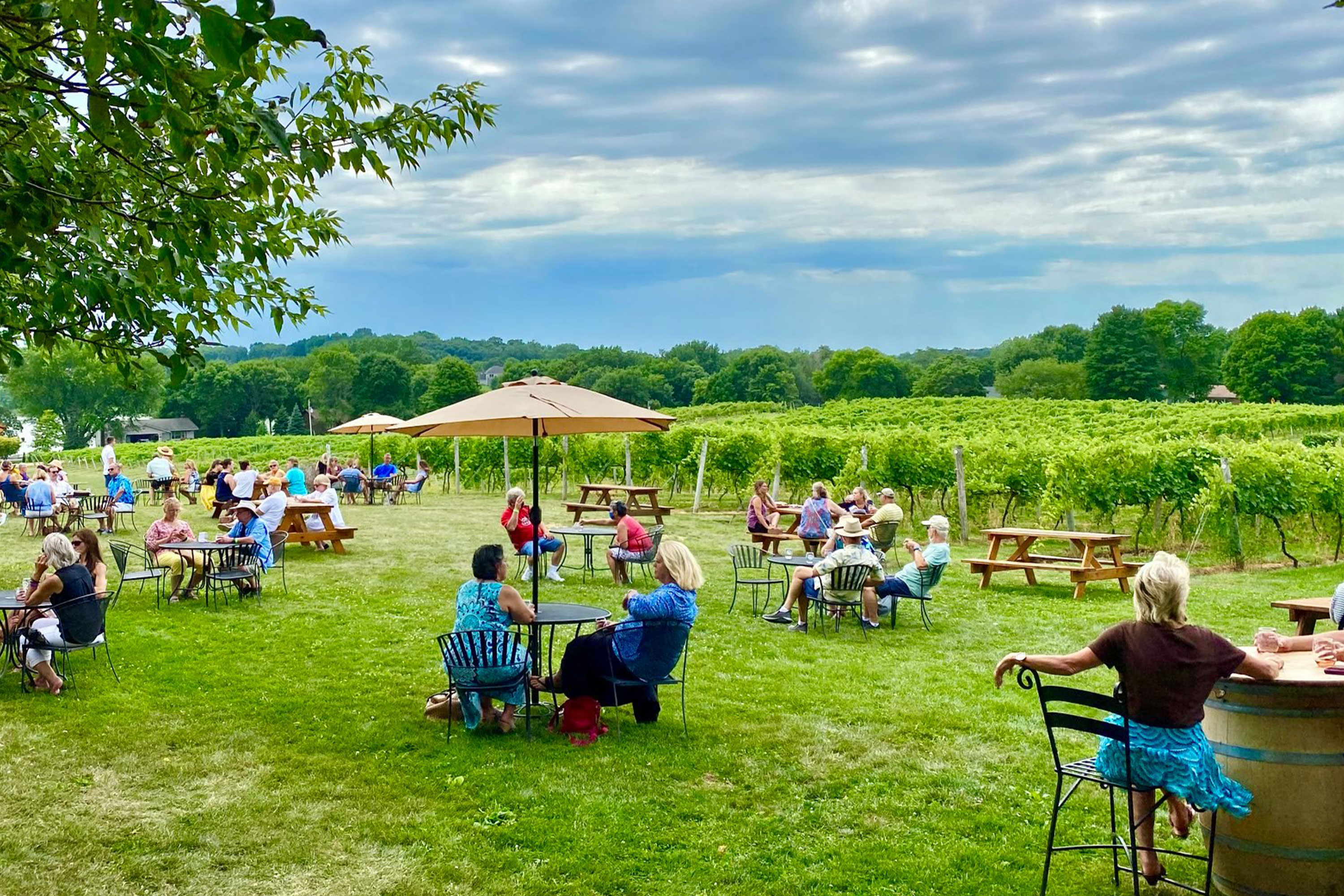Metro Area Wineries Pair Vino and Events in Charming Settings Explore Minnesota