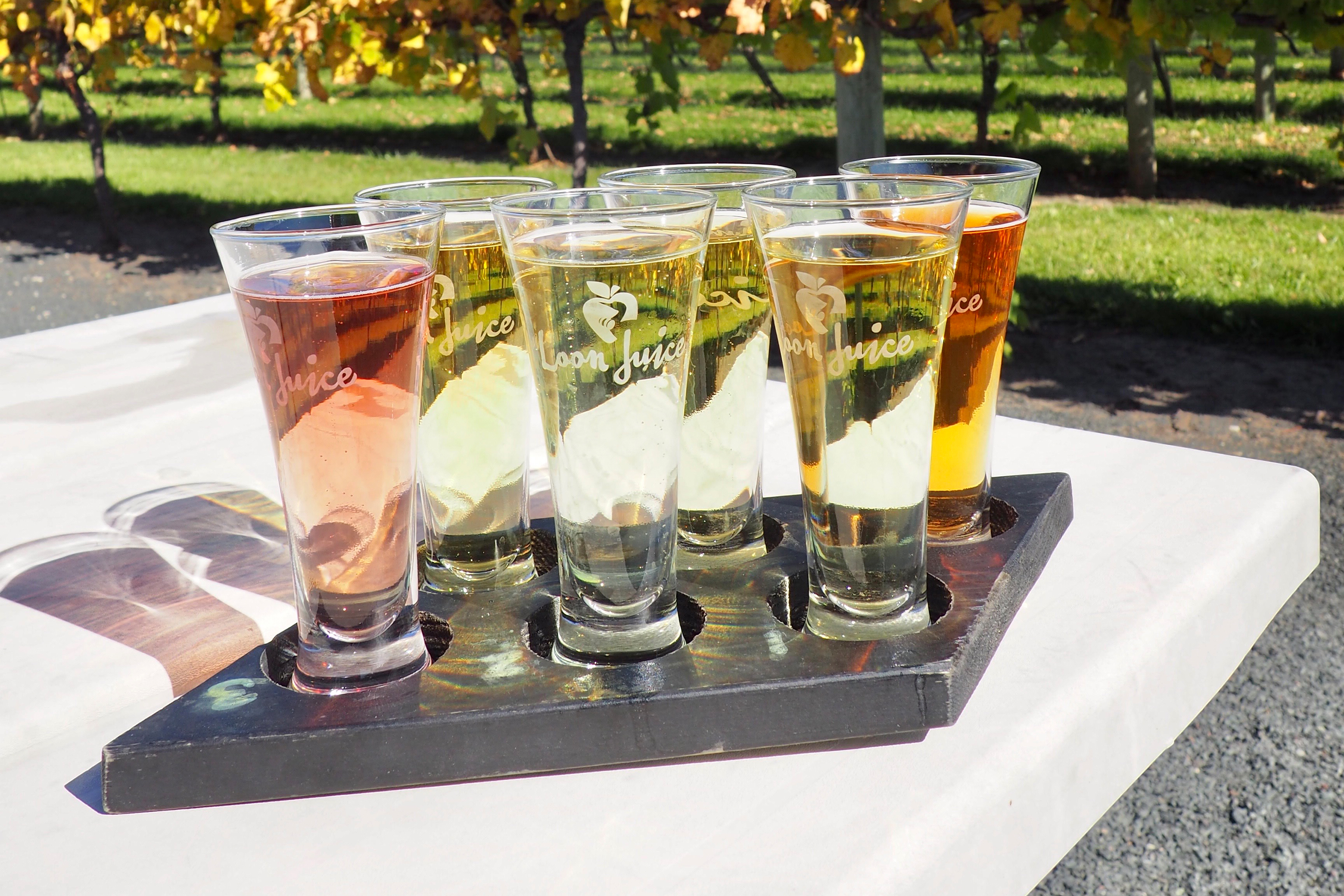 Loon Juice Cider sampler at Four Daughter’s Winery