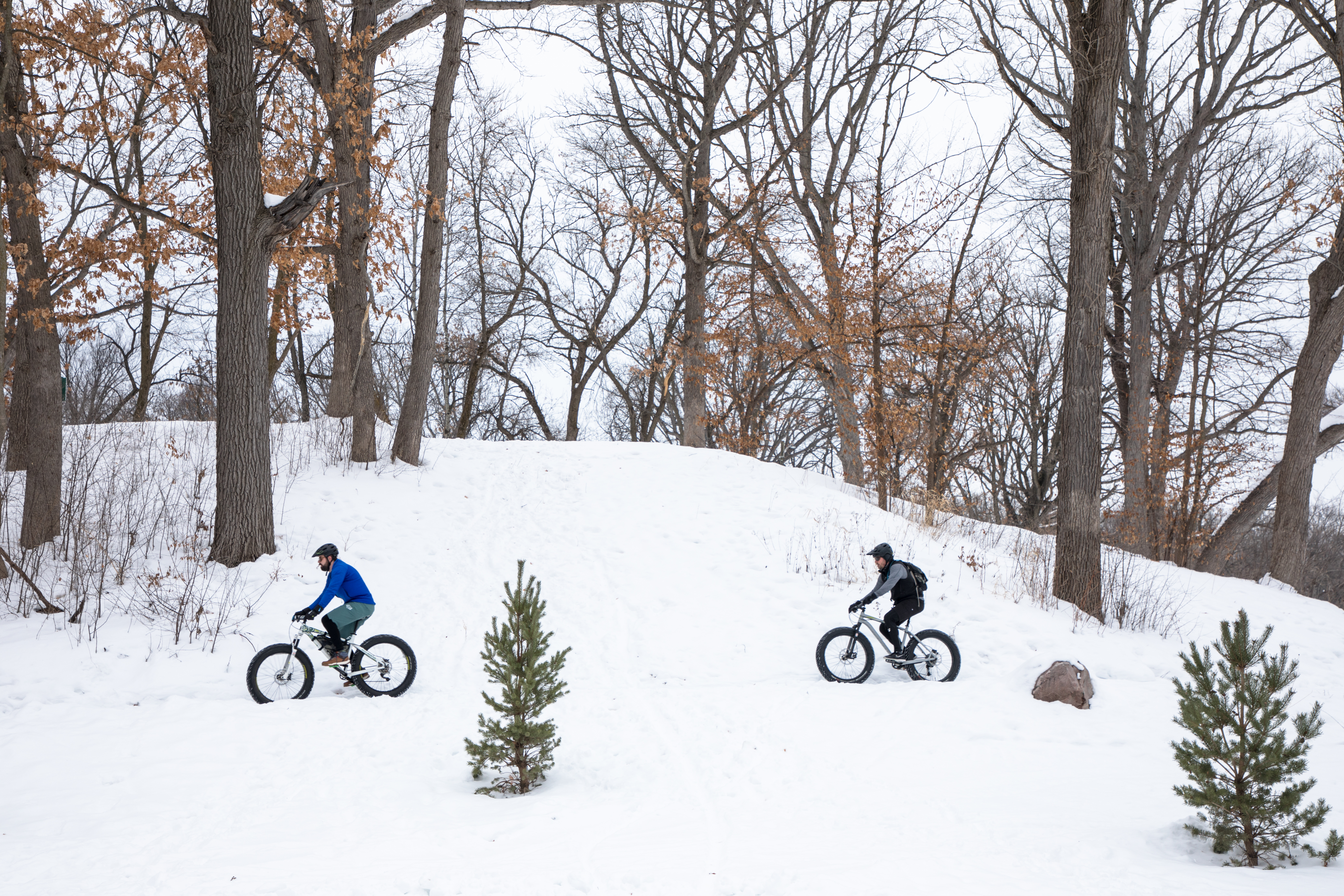 2 Fat Bikers in Theo Wirth Park, Minneapolis
