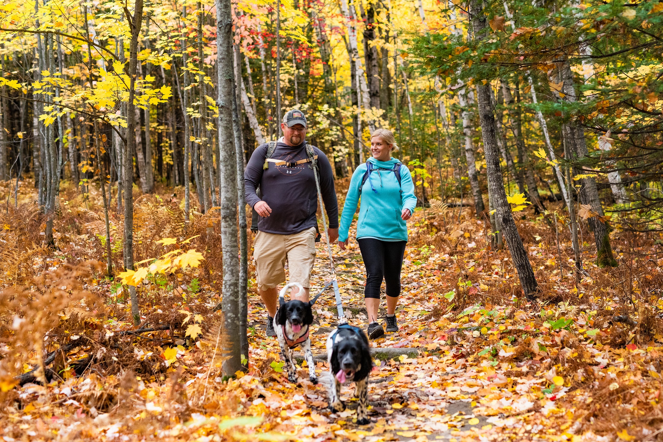 A couple hiking in the Superior National Forest, Duluth