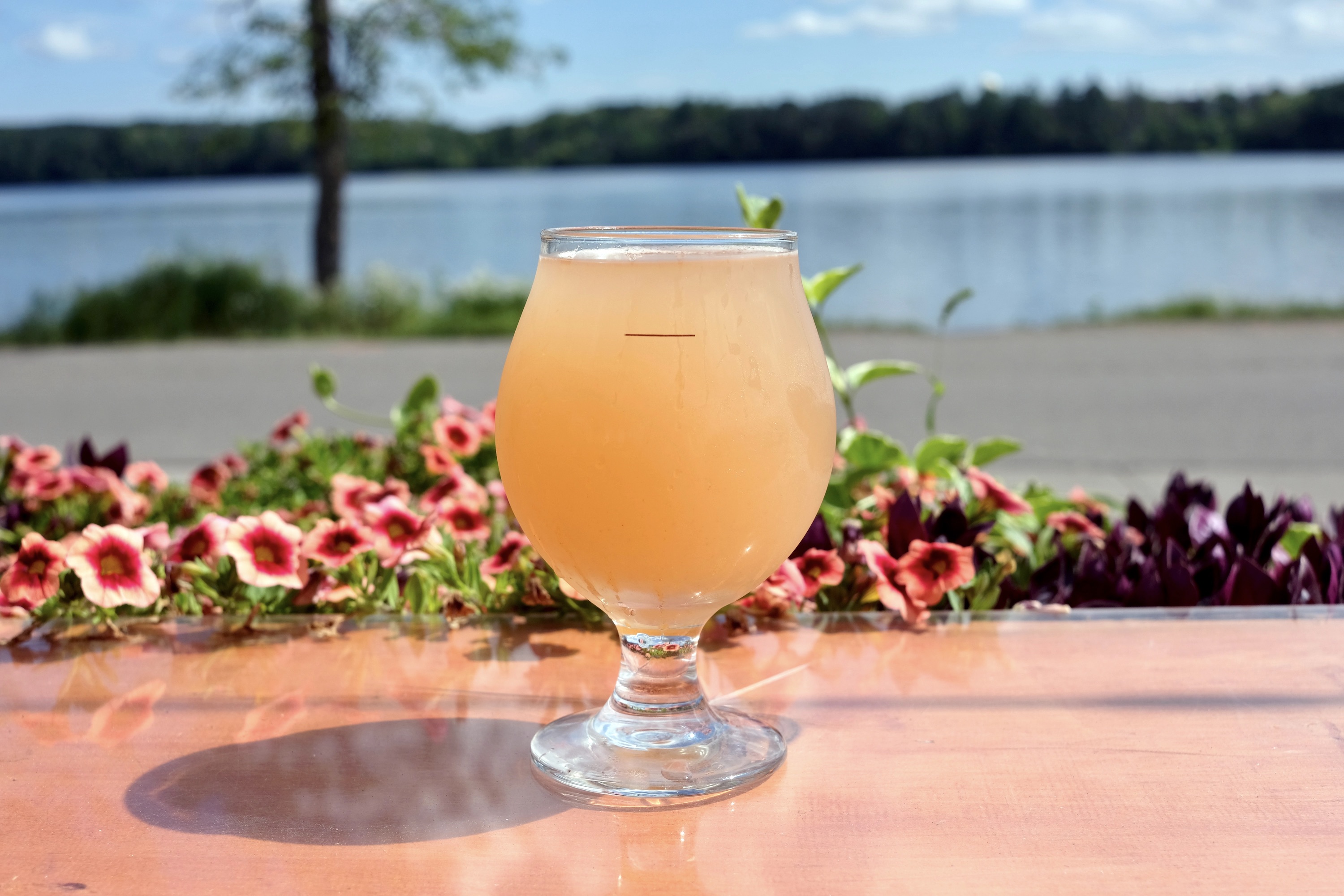 Hunt For Agates and Hinckley’s Most Iconic Pastry on the Way to Moose