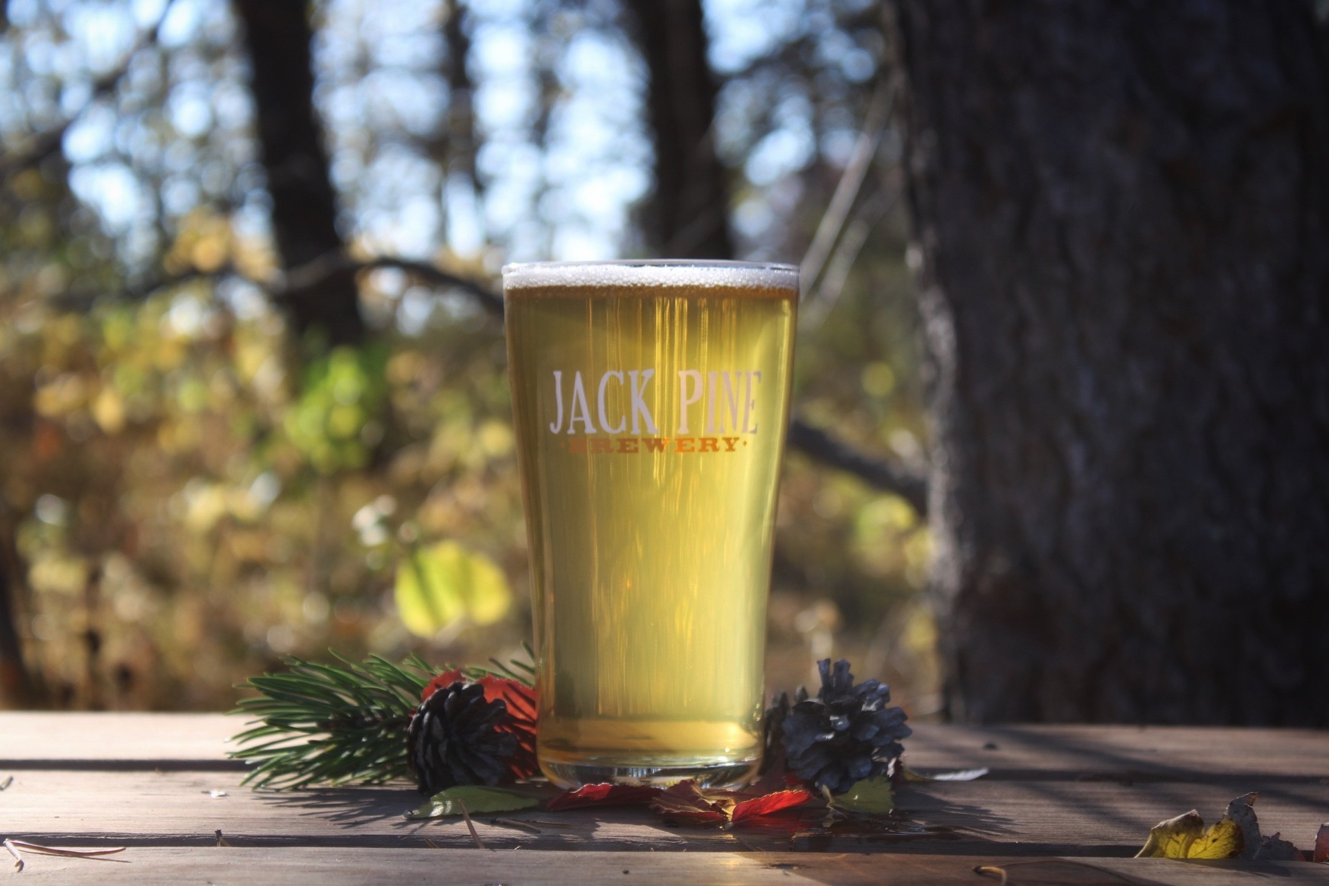 Jack Pine Brewery's Dead Branch cream ale