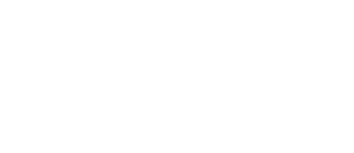 MSN Travel Logo