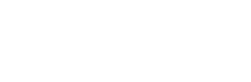 Newsy Logo