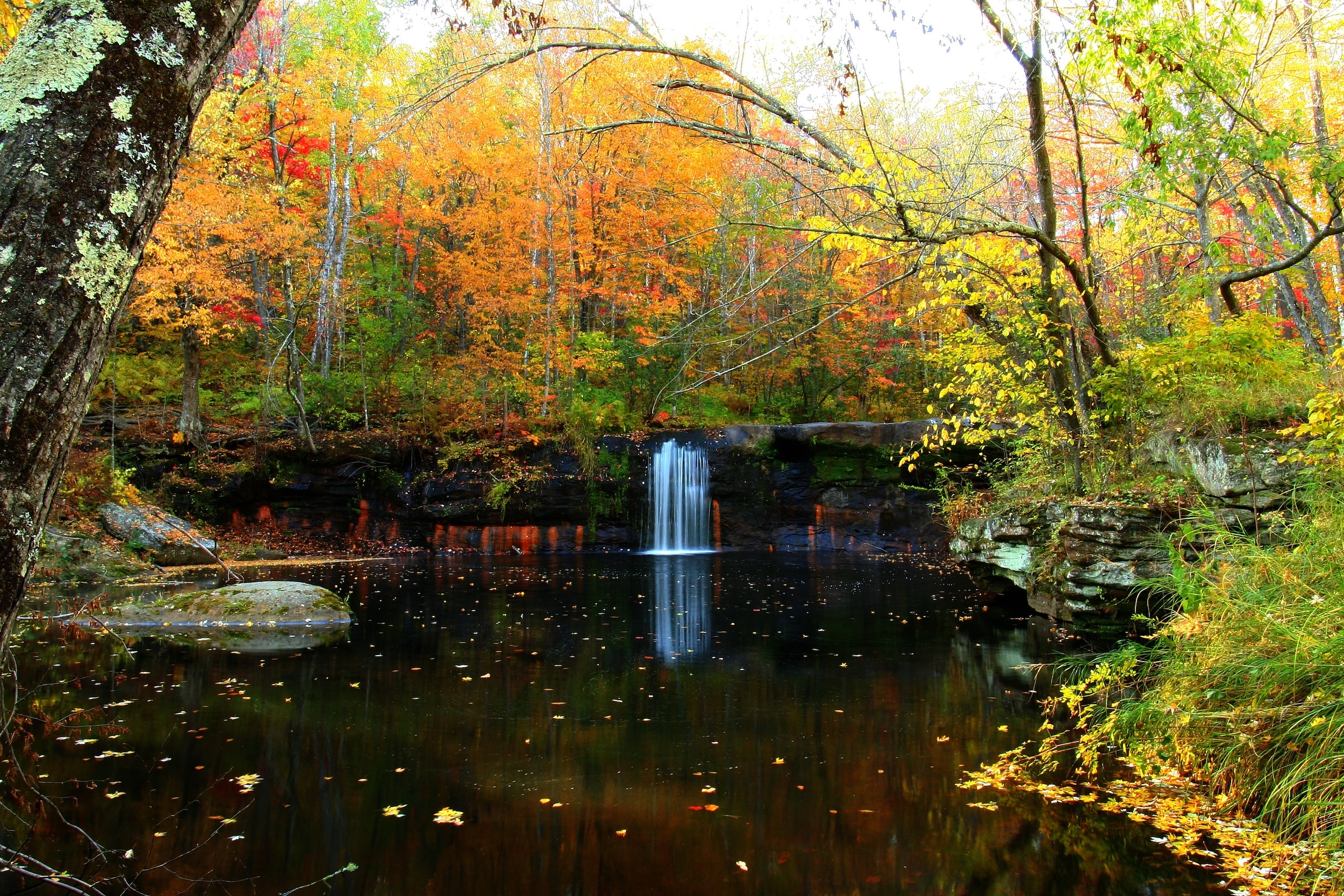 Spotting a waterfall among the autumn colors in Banning State Park 