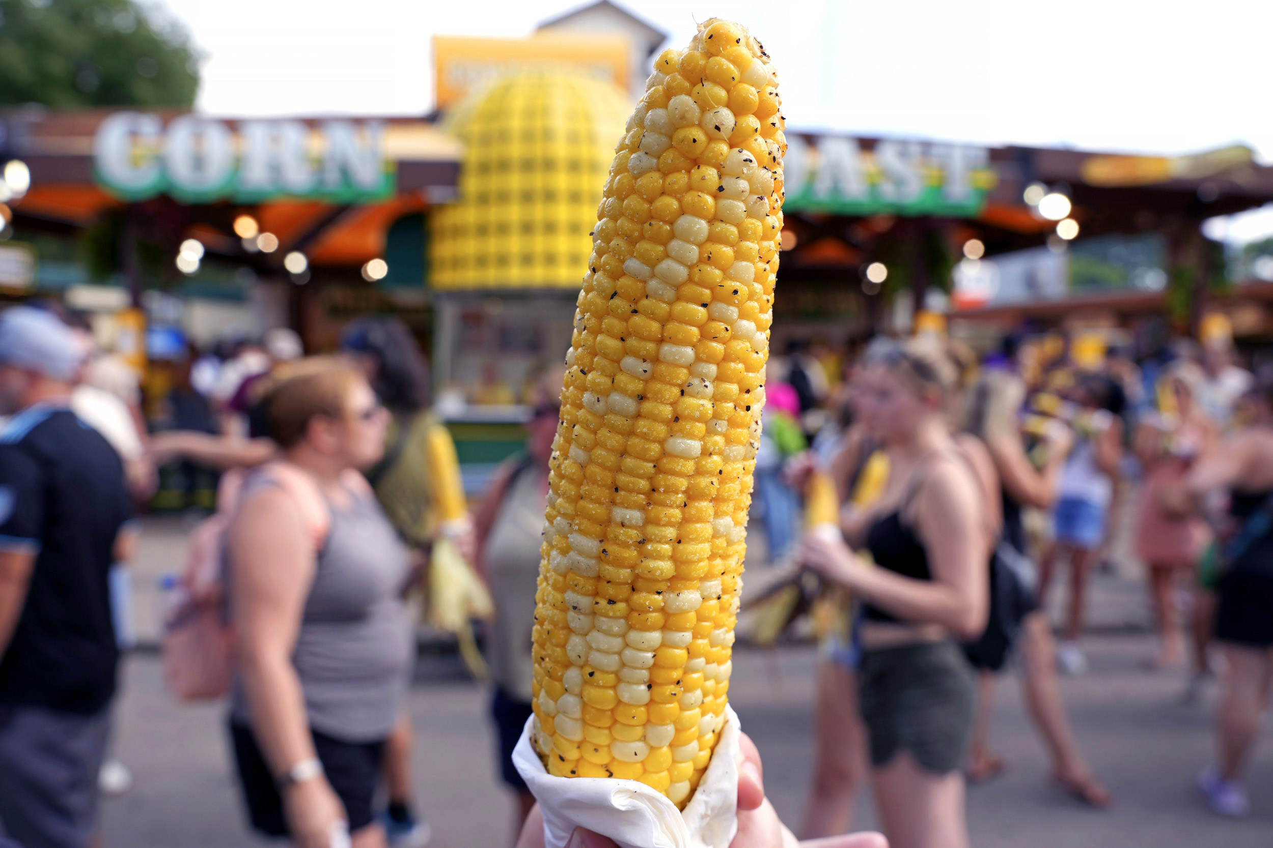 Corn on the cob at the Minnesota State Fair