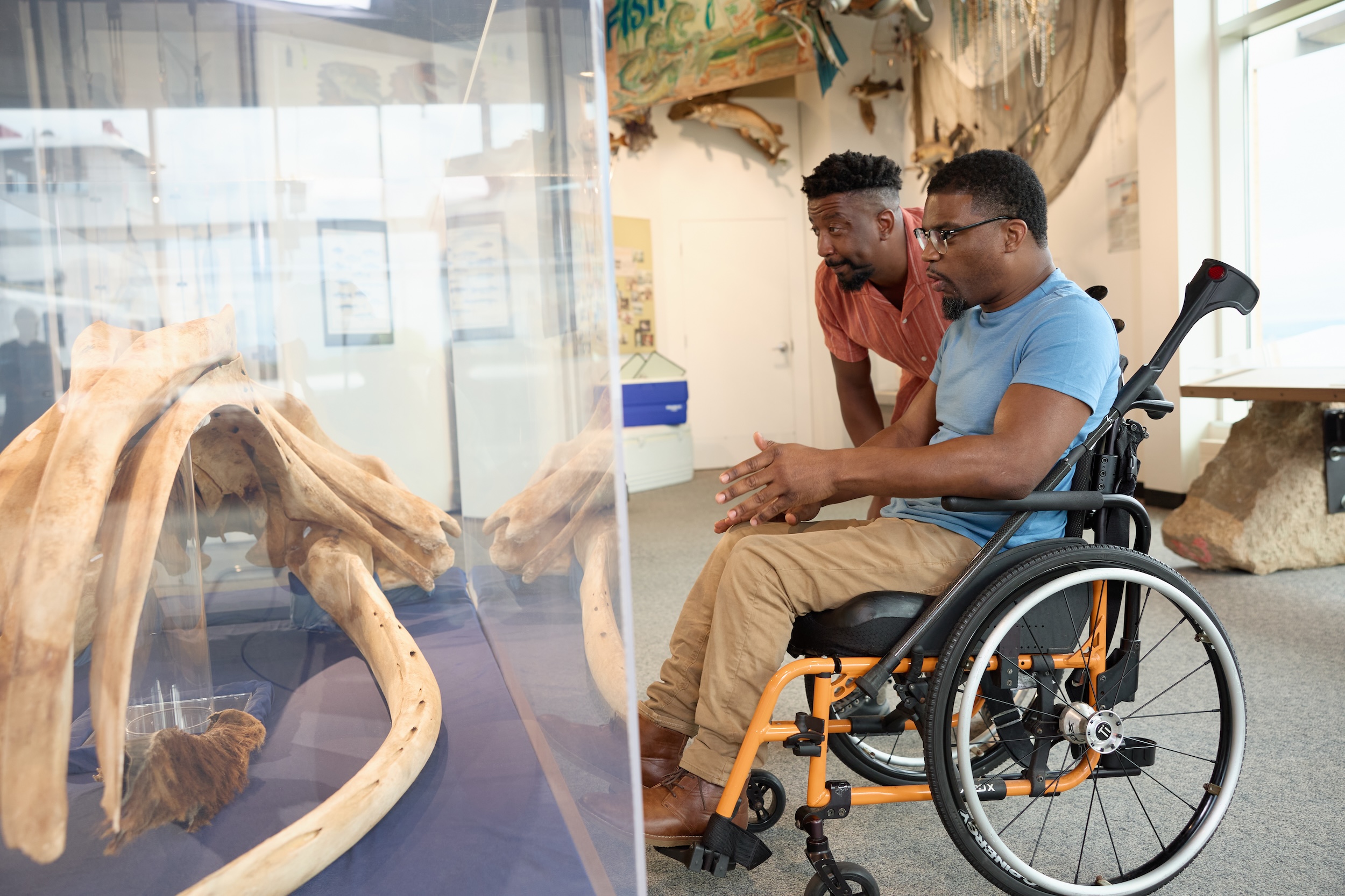 A man in a wheelchair and his friend look at a dinosaur exhibit at the Science Museum in St. Paul