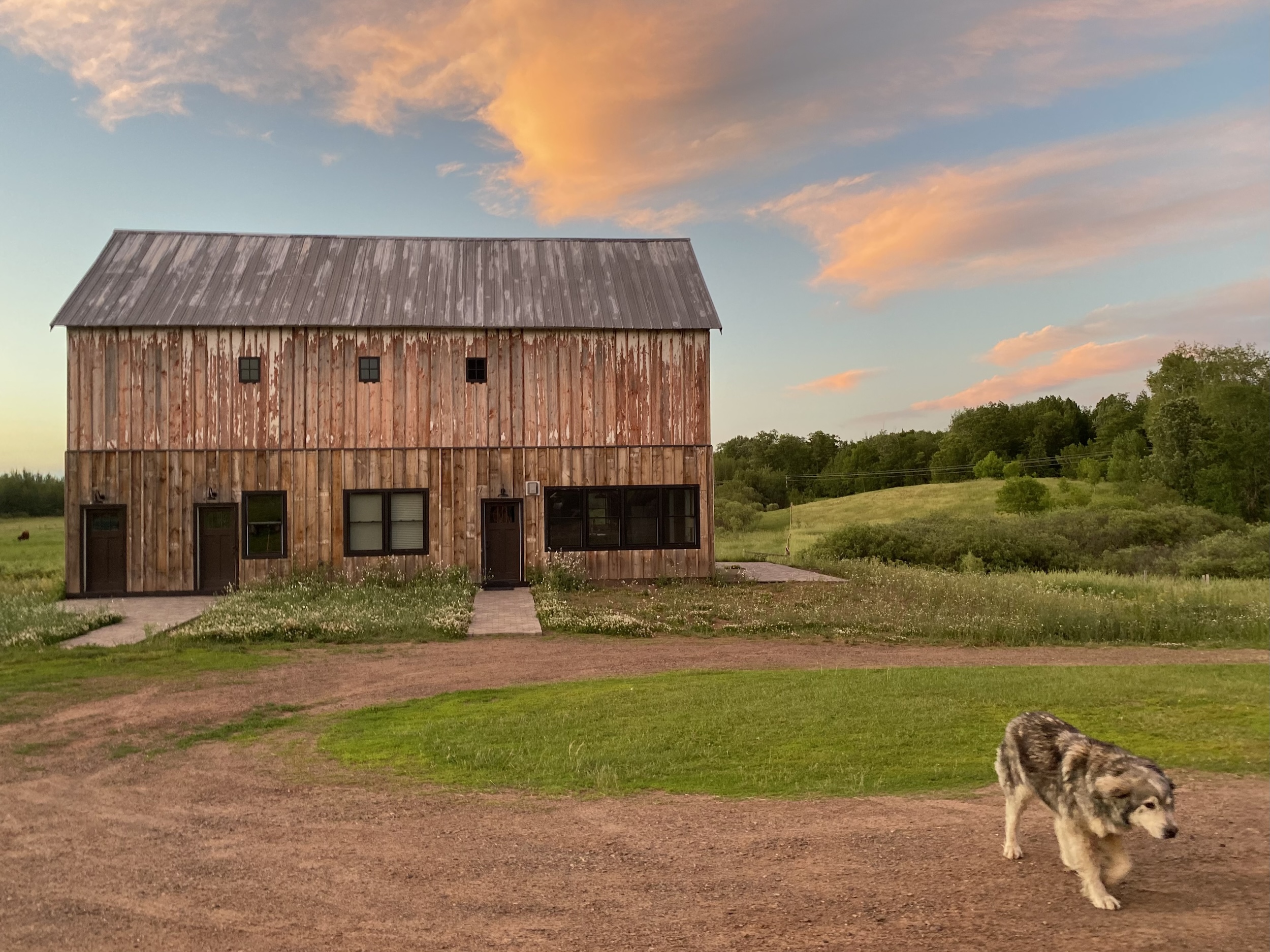 Medicine Creek Farm