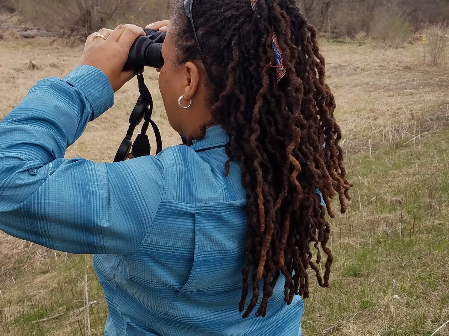 Urban Bird Collective