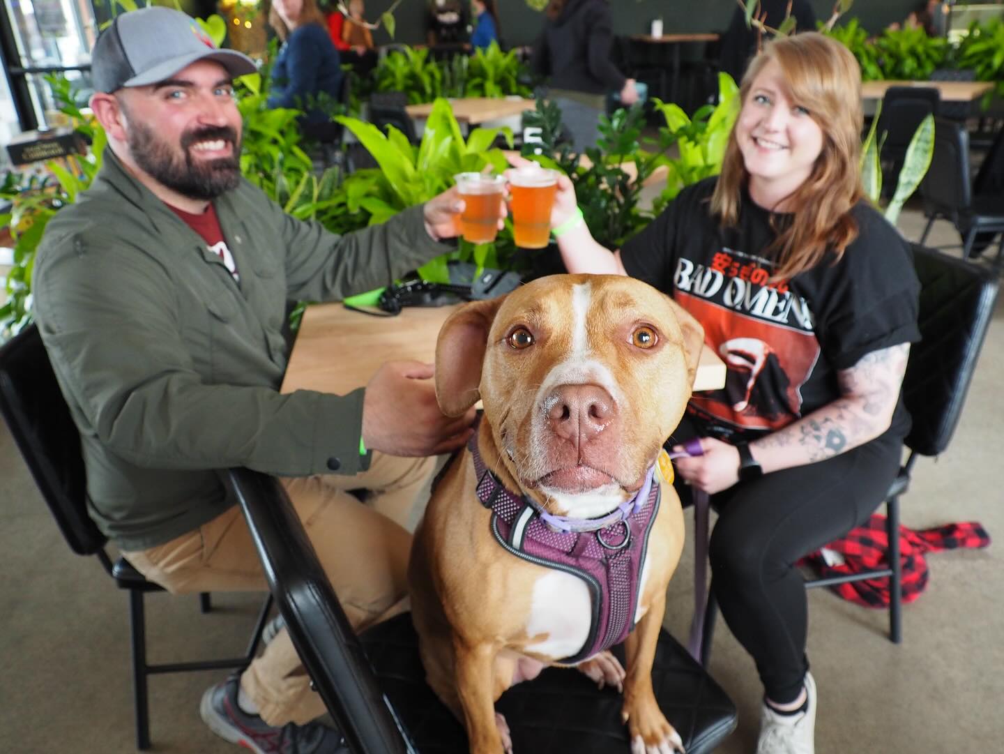A couple sits with their dog at Wandering Leaf Brewing Company