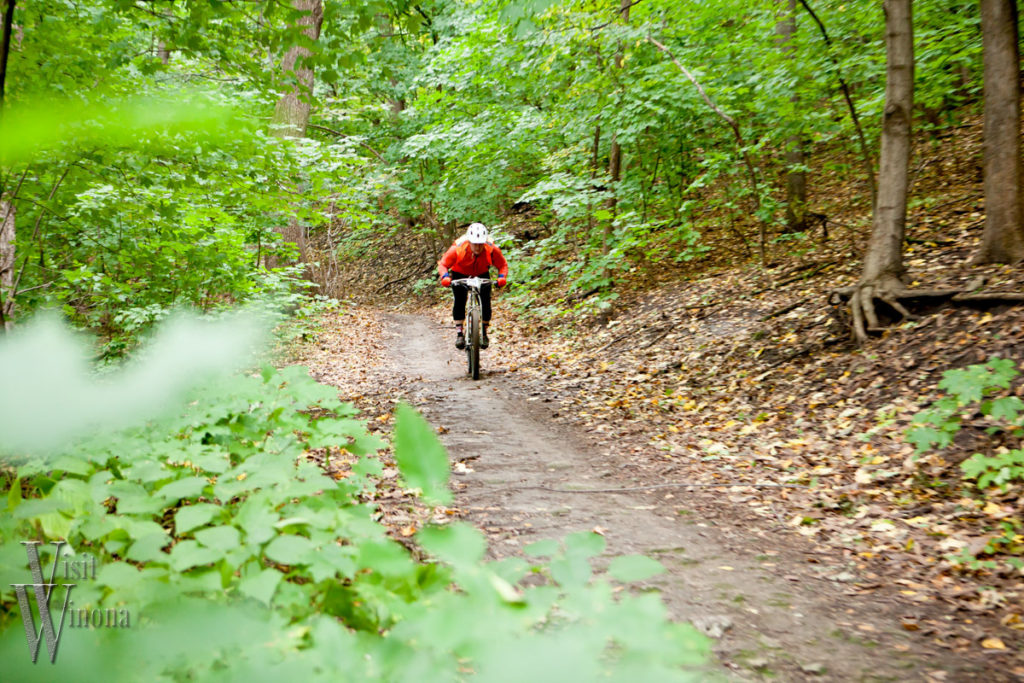 Bluffside Park