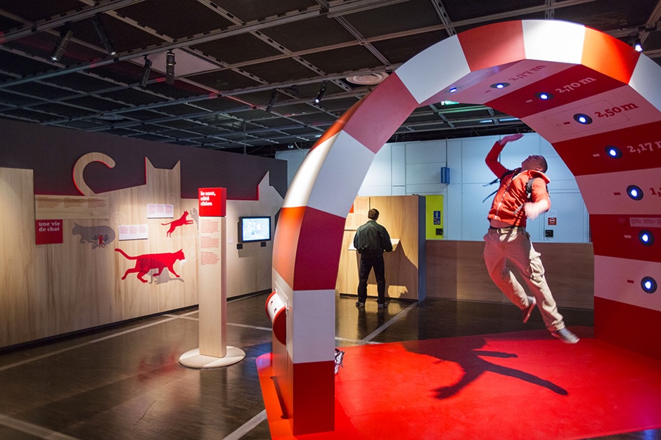 Minnesota State Fair - Cats &amp; Dogs Exhibit