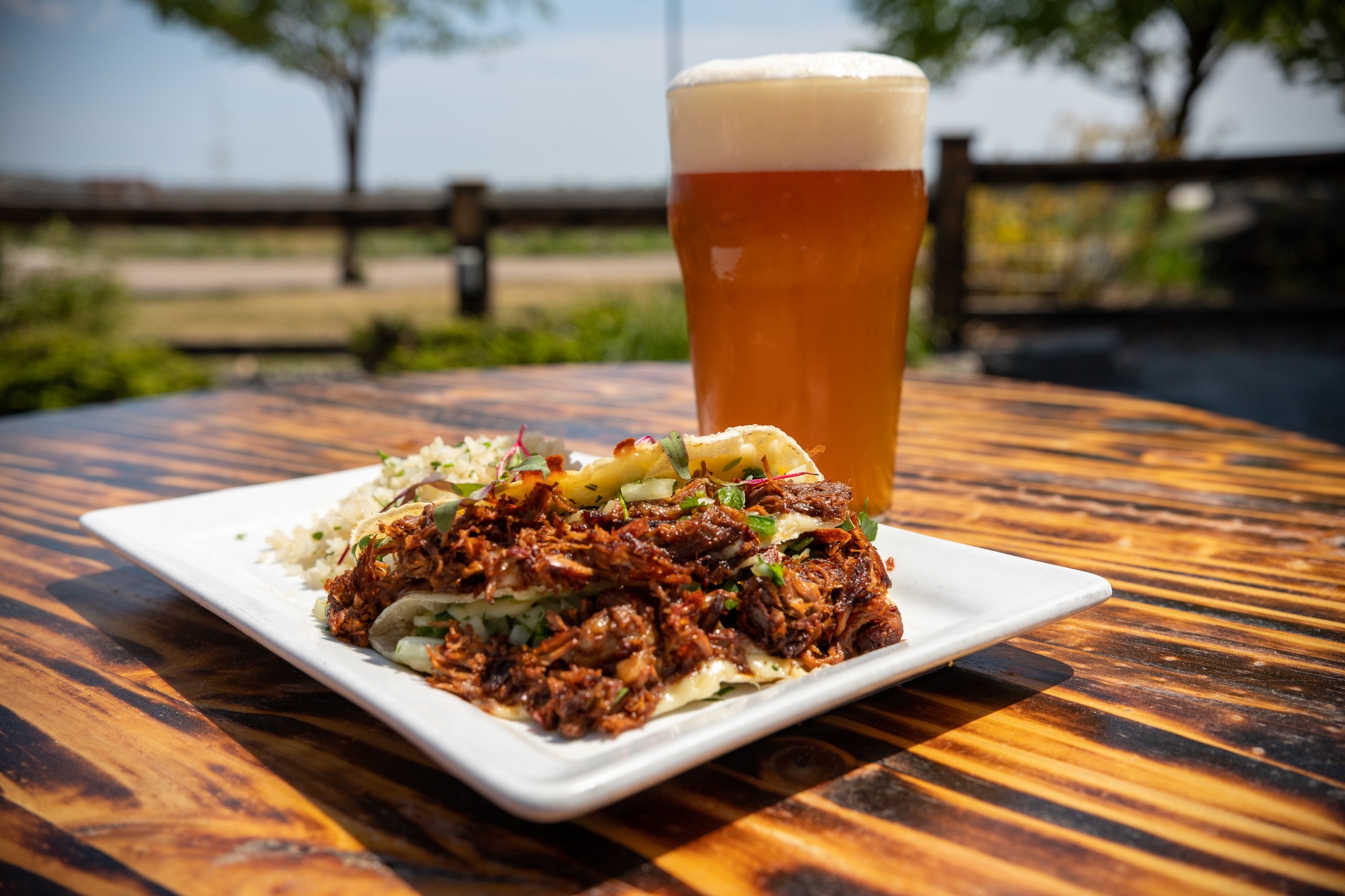 Birria tacos and a beer at Canal Park Brewing Company