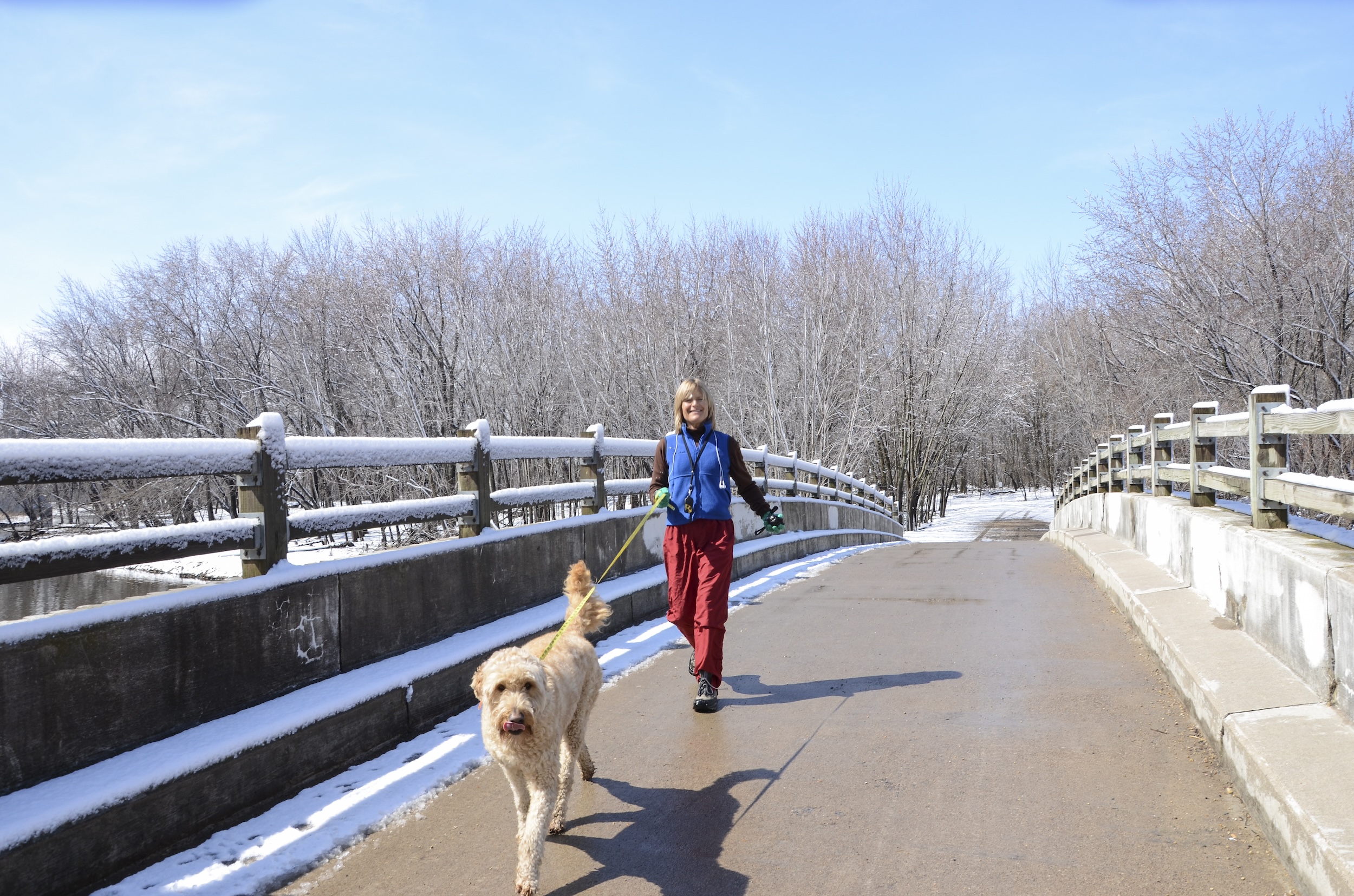 A dog walker at Fort Snelling State Park during winter