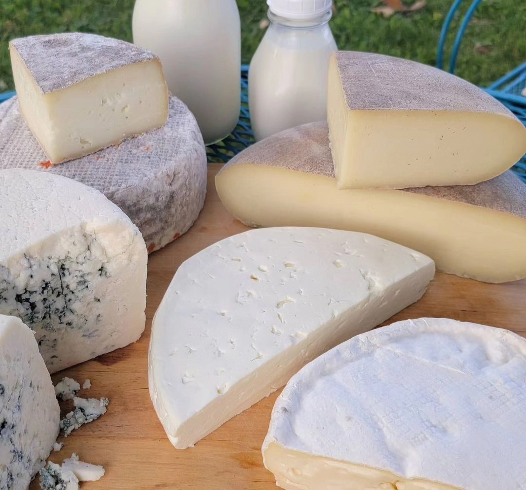 Various cheeses from Sherpherd's Way Farms