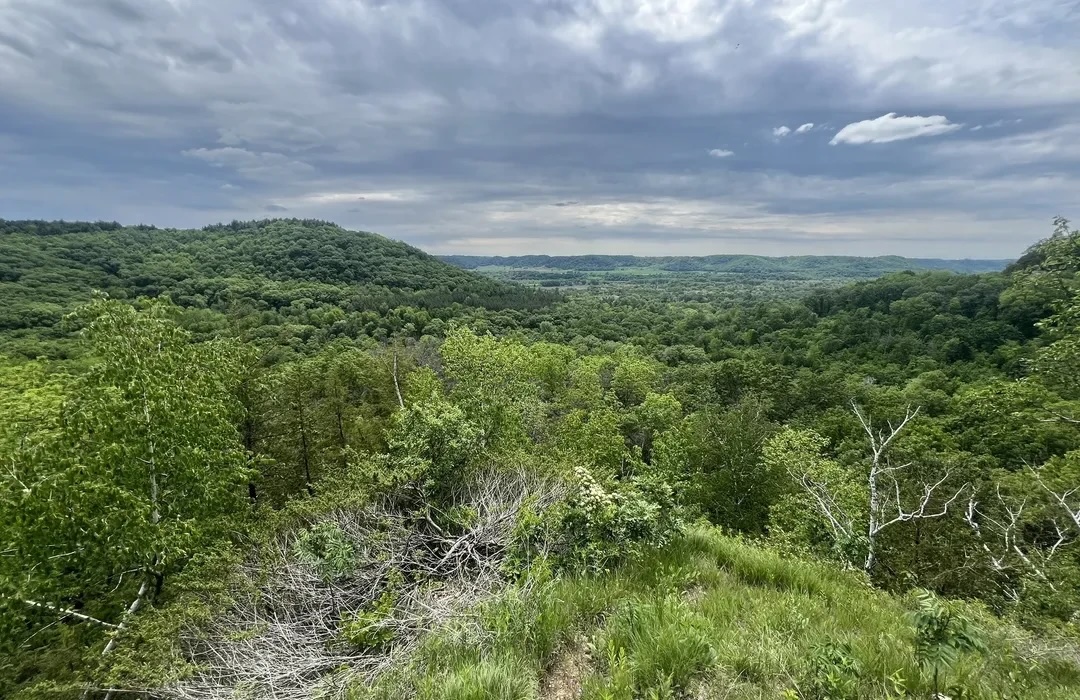 Richard J. Dorer Memorial Hardwood State Forest