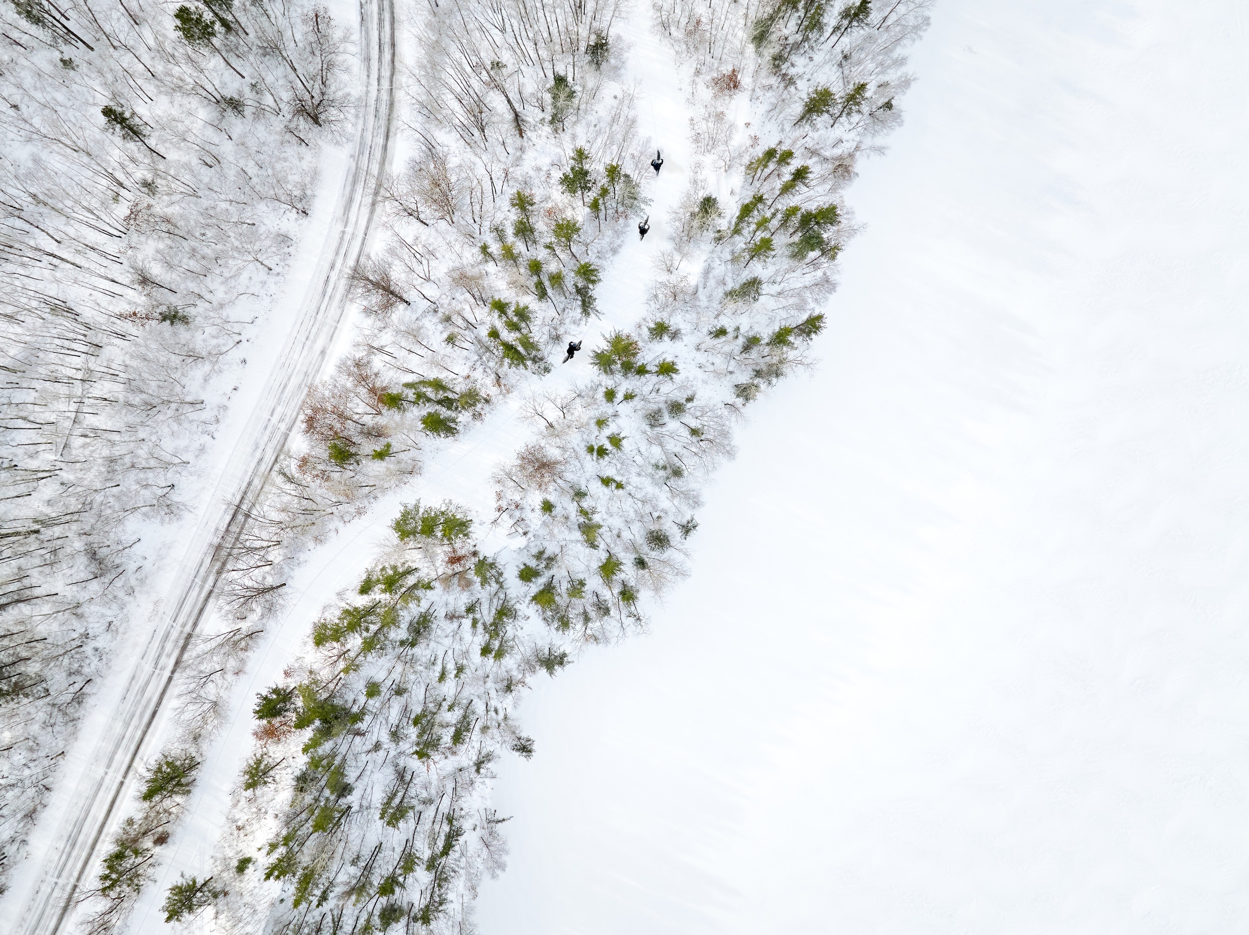 Winter fat biking in Cuyuna Country State Recreation Area