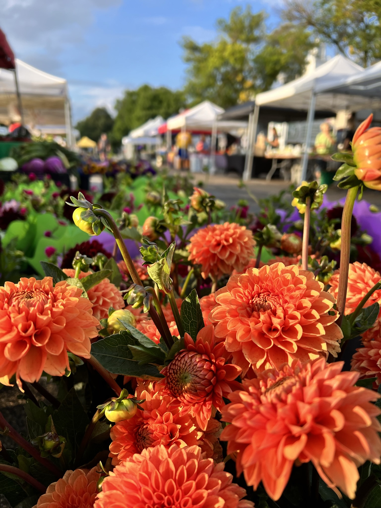 White Bear Lake Farmers Market