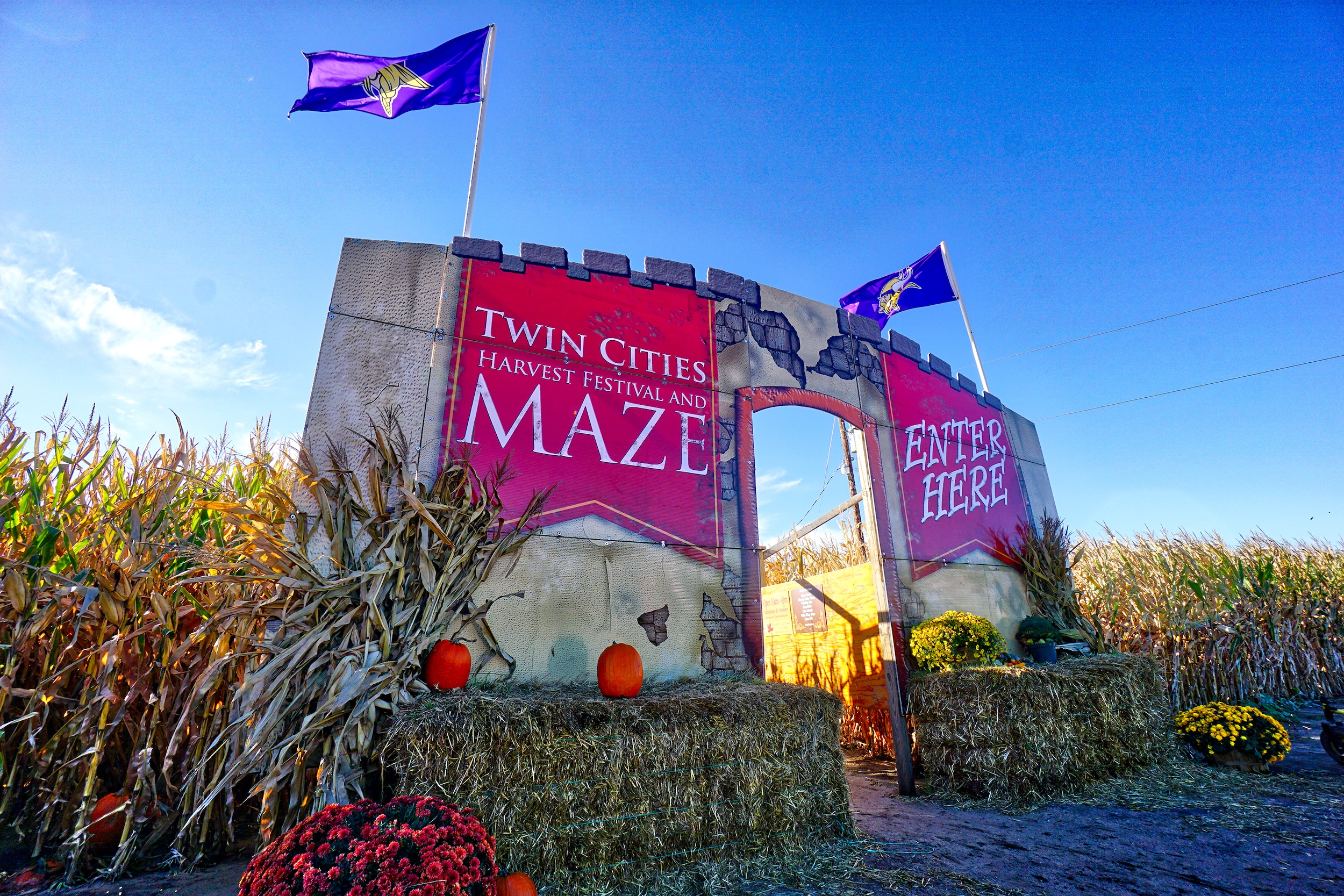 The corn maze entrance at Twin Cities Harvest Festival