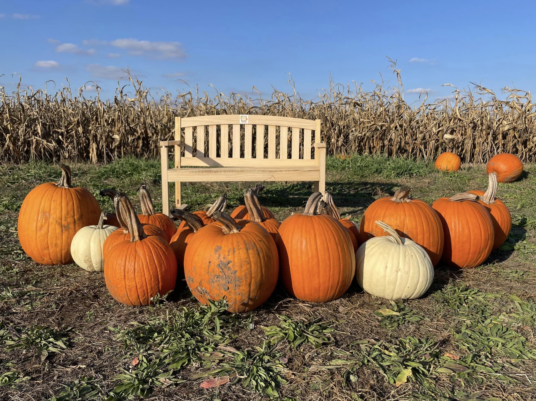 A&amp;G Produce's corn maze