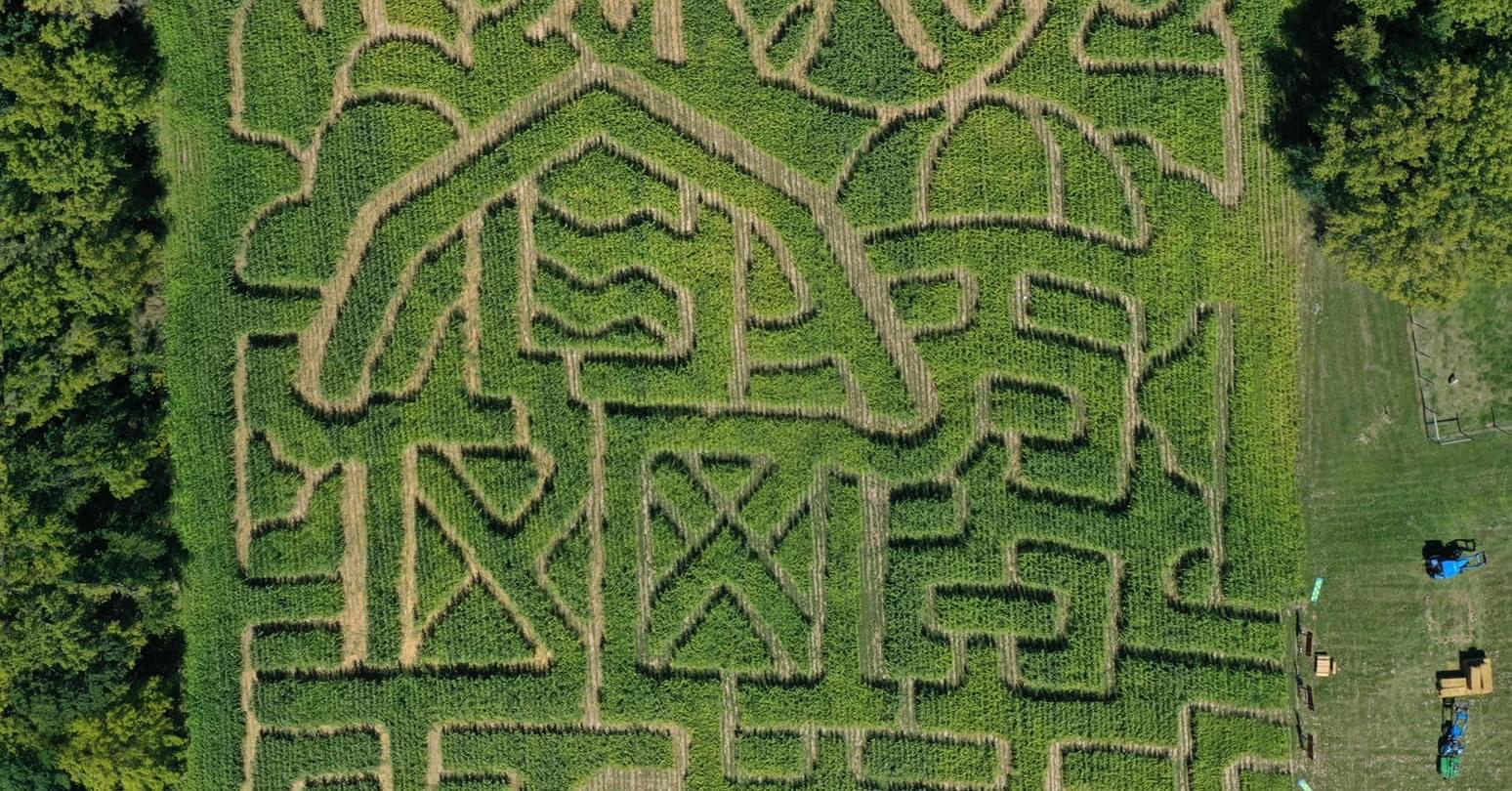 The corn maze at Fresh Acres Farm