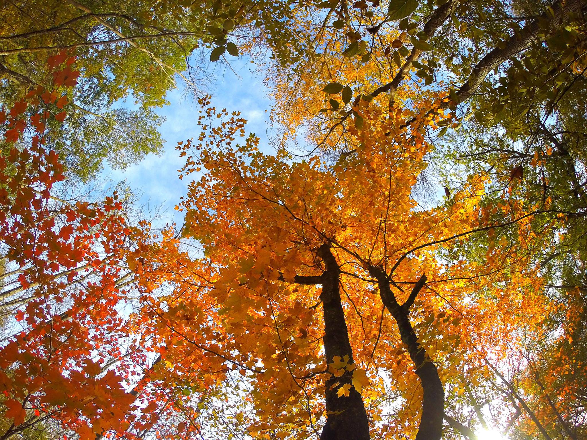 Lake Carlos State Park