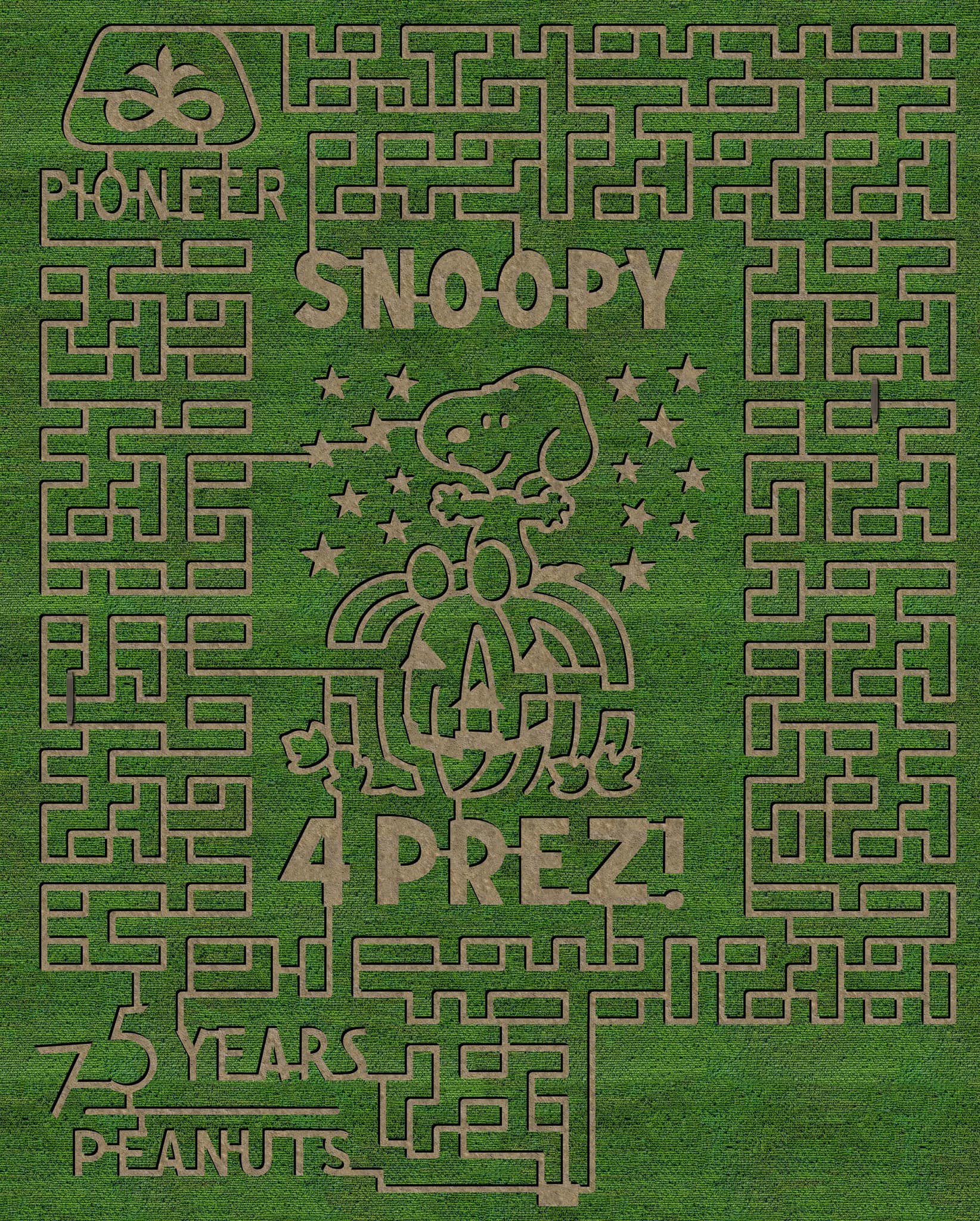 Valley Corn Maize's 2024 design