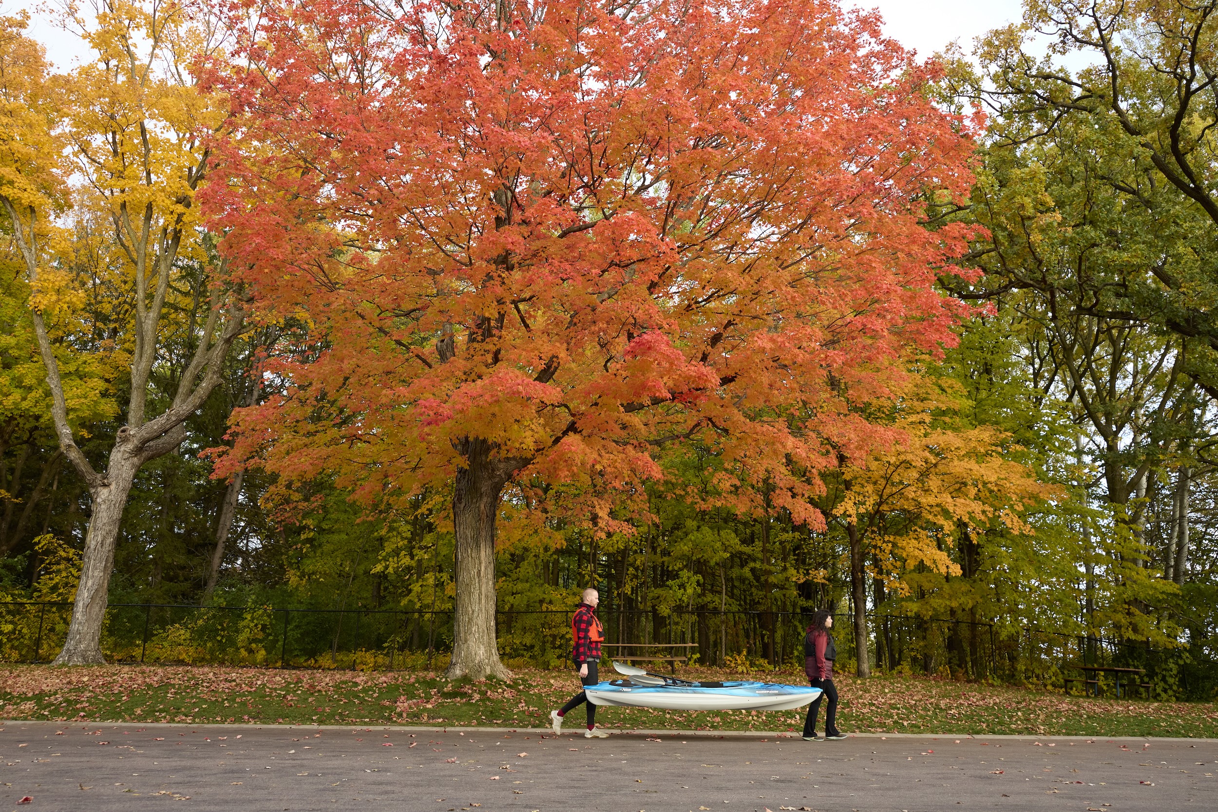 Kat &amp; Josh carry their kayaks near Medicine Lake in Plymouth