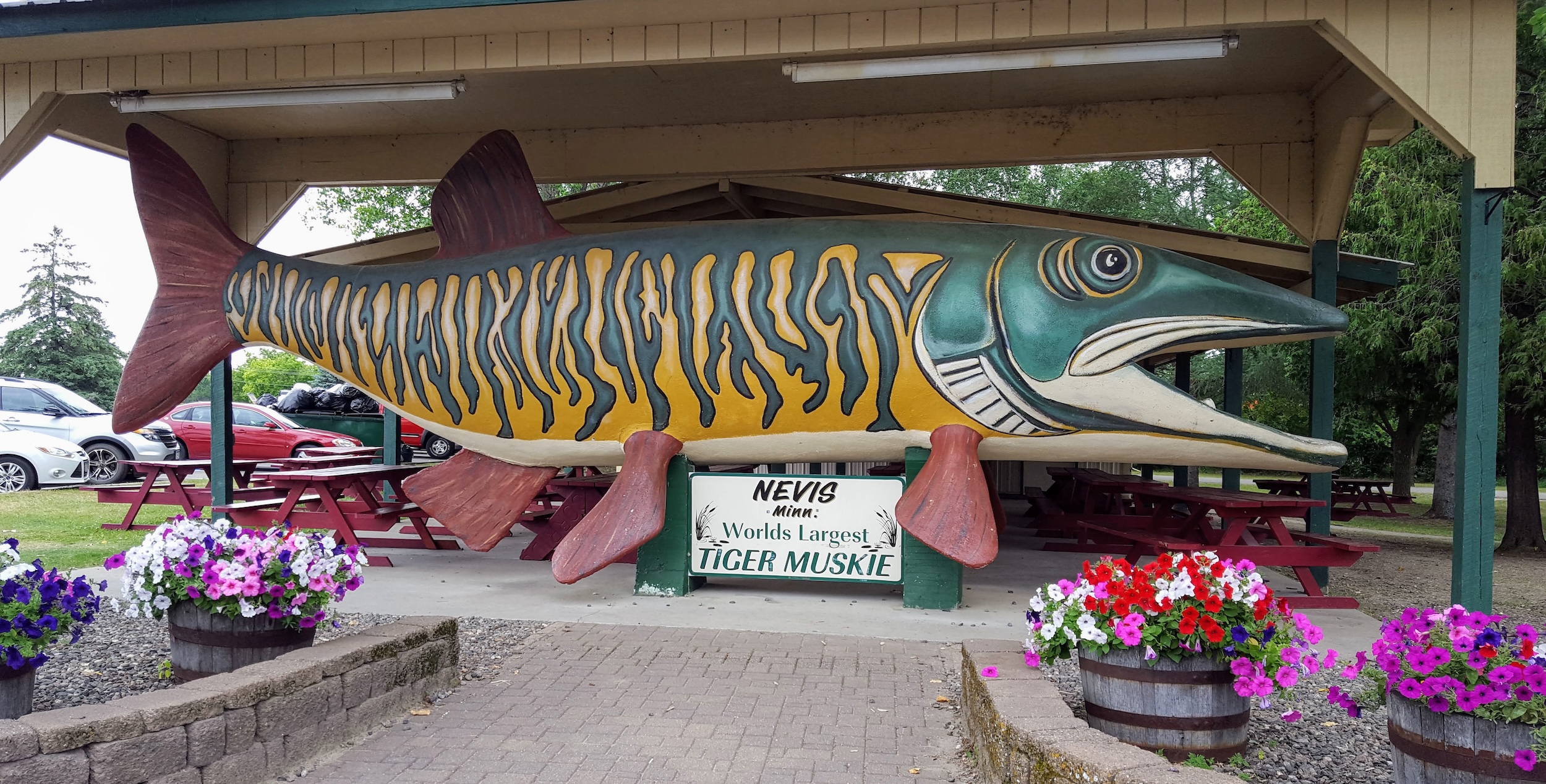 World's Largest Tiger Muskie