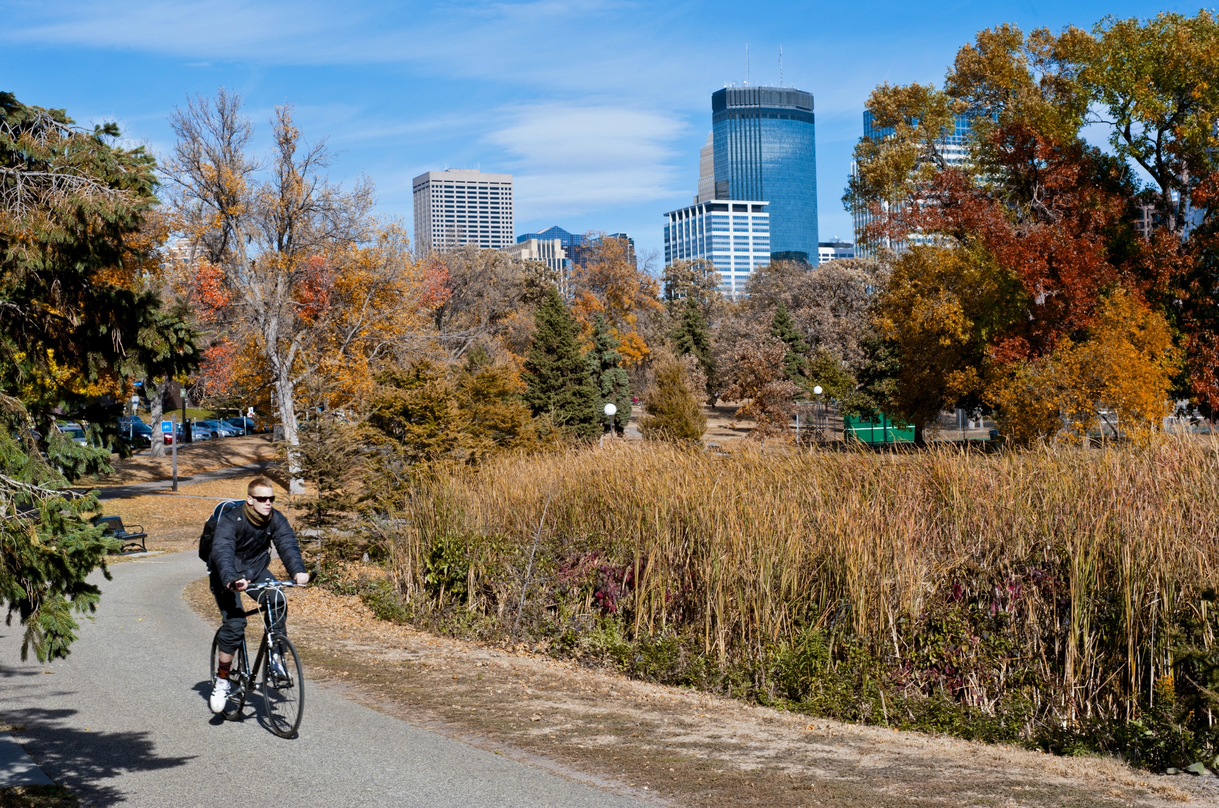 Fall biking through Loring Park with Minneapolis skyline in background