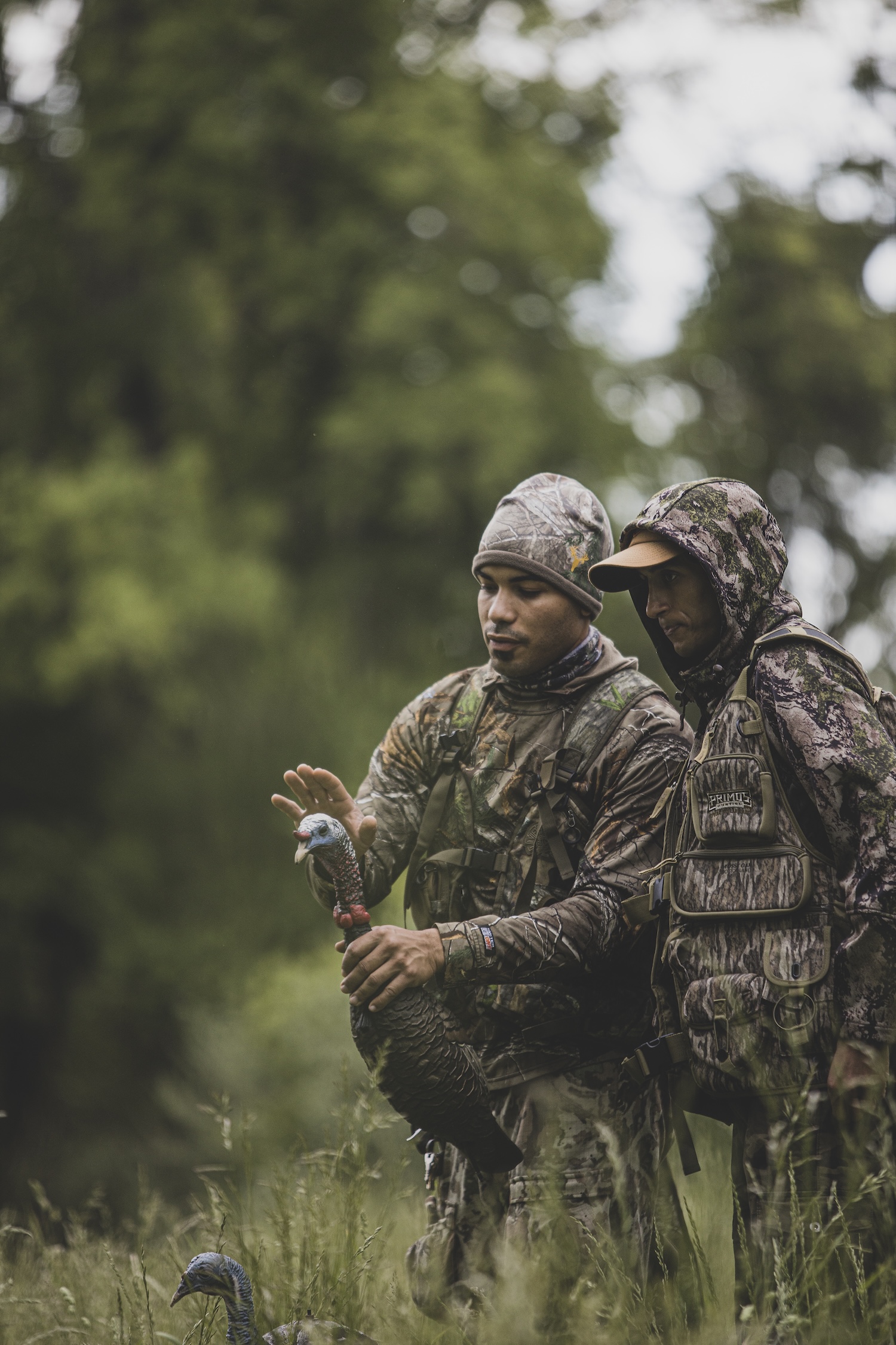 Hunting for wild turkeys in spring
