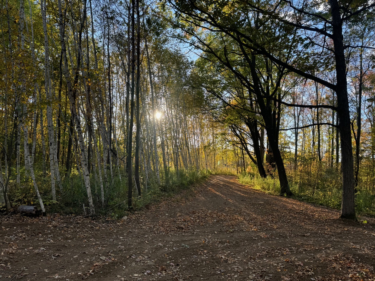 A trail at Nature Retreats MN