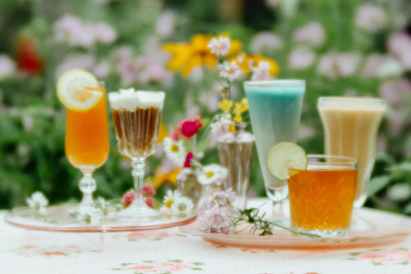 Summer Folktails specials at Dream Cloud Coffee Roasters