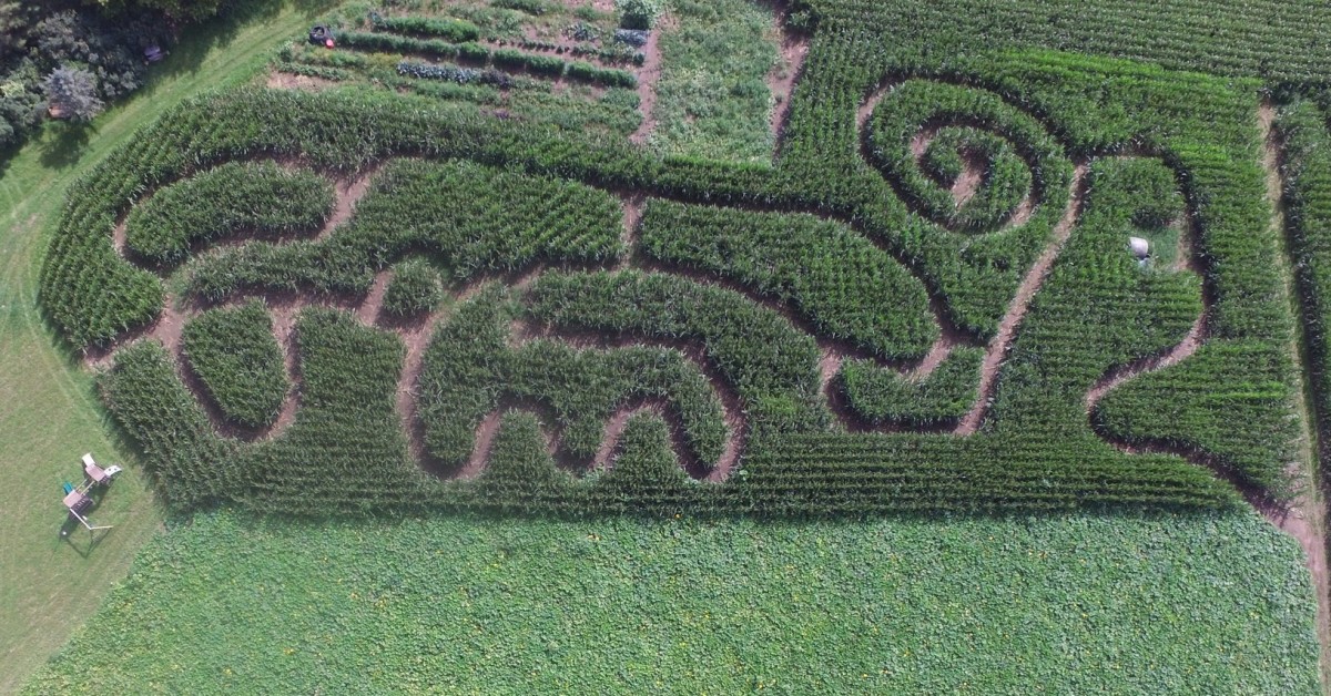 Big Springs Farm Pumpkins & Corn Maze LLC Explore Minnesota