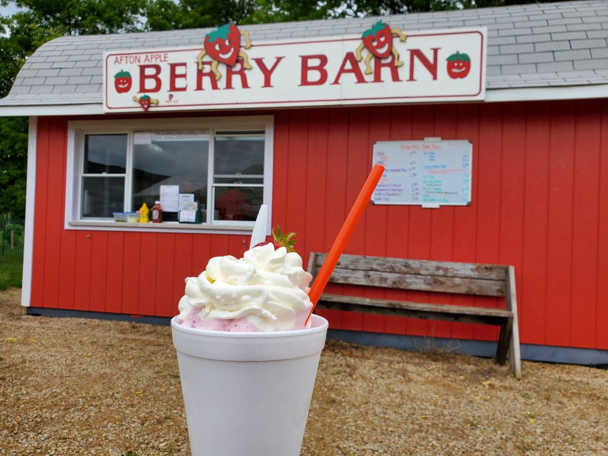 Apple Festival at Afton Apple Explore Minnesota