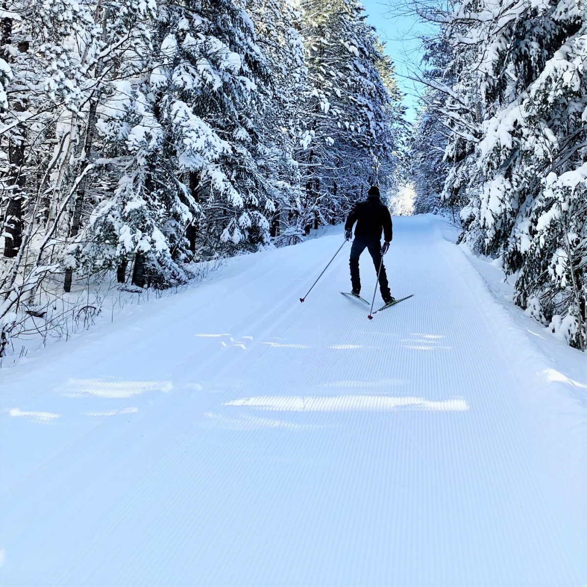 Central Gunflint Cross Country Ski Trail System Explore Minnesota