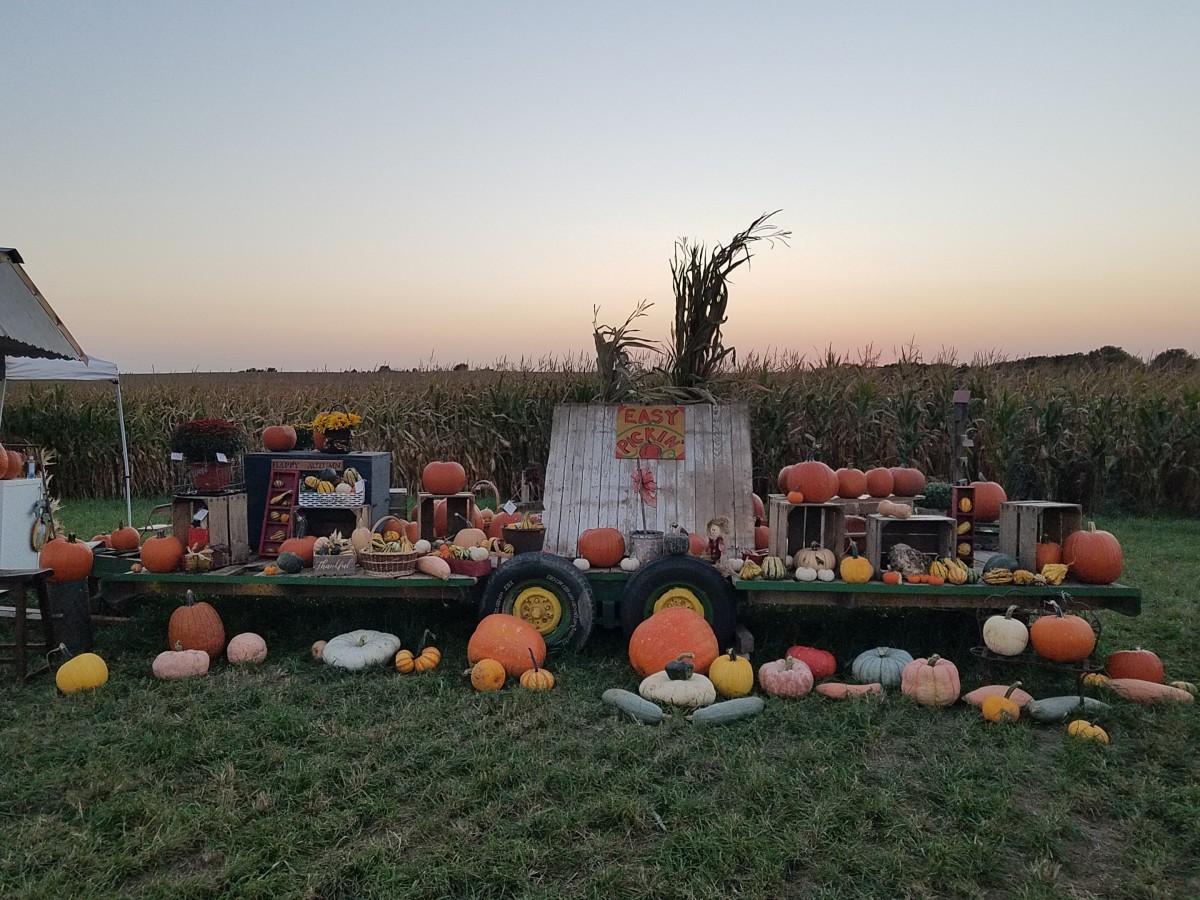 Big Springs Farm Pumpkins & Corn Maze LLC Explore Minnesota