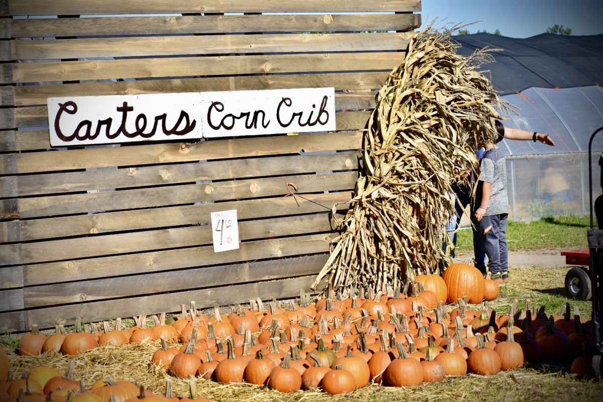 Fall Festival Explore Minnesota
